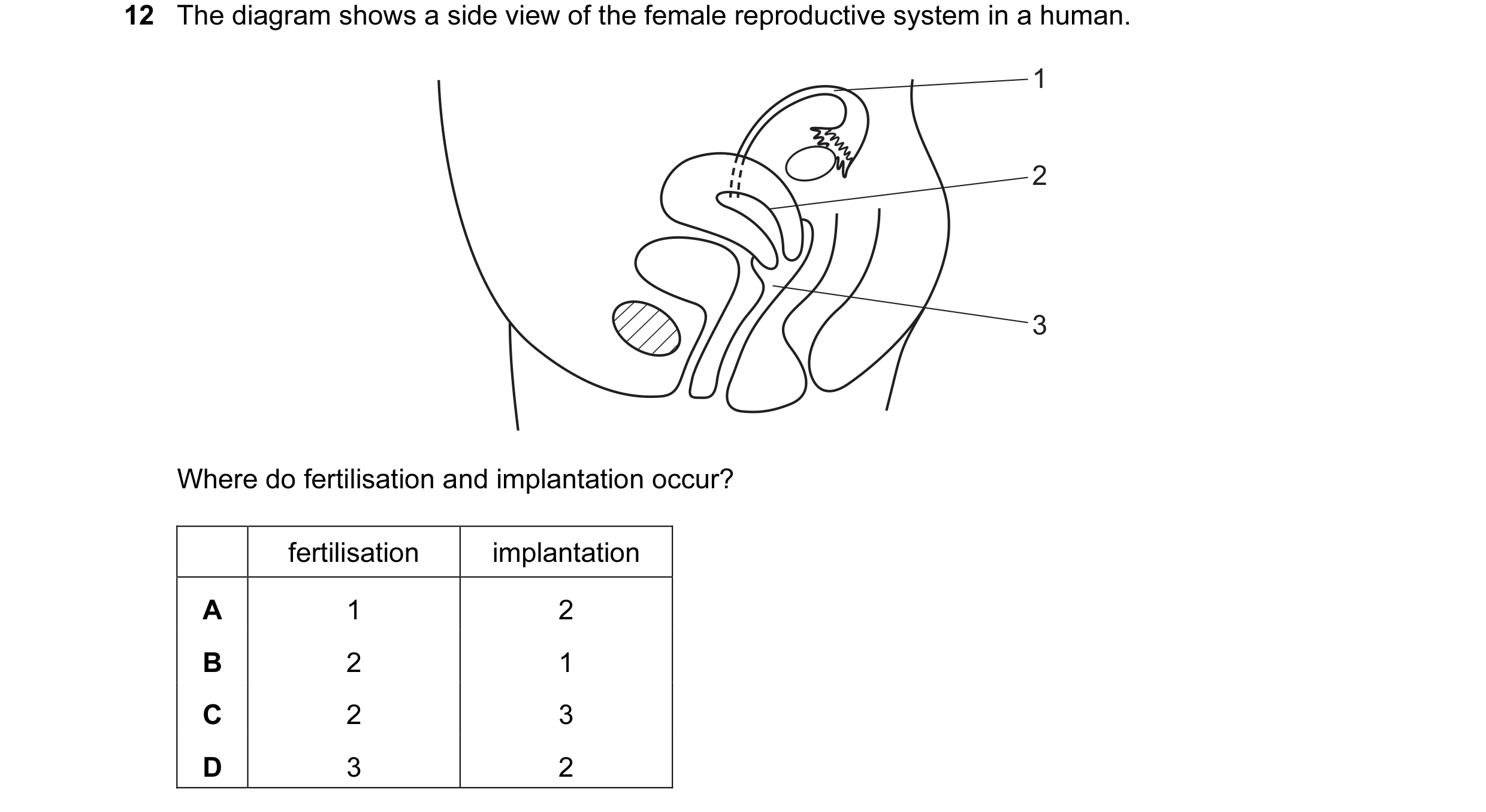Question 40: The diagram shows a side view of the female reproductive system in a human. 1 2 3 Where do fertilisation and implantation occur? fertilisat…