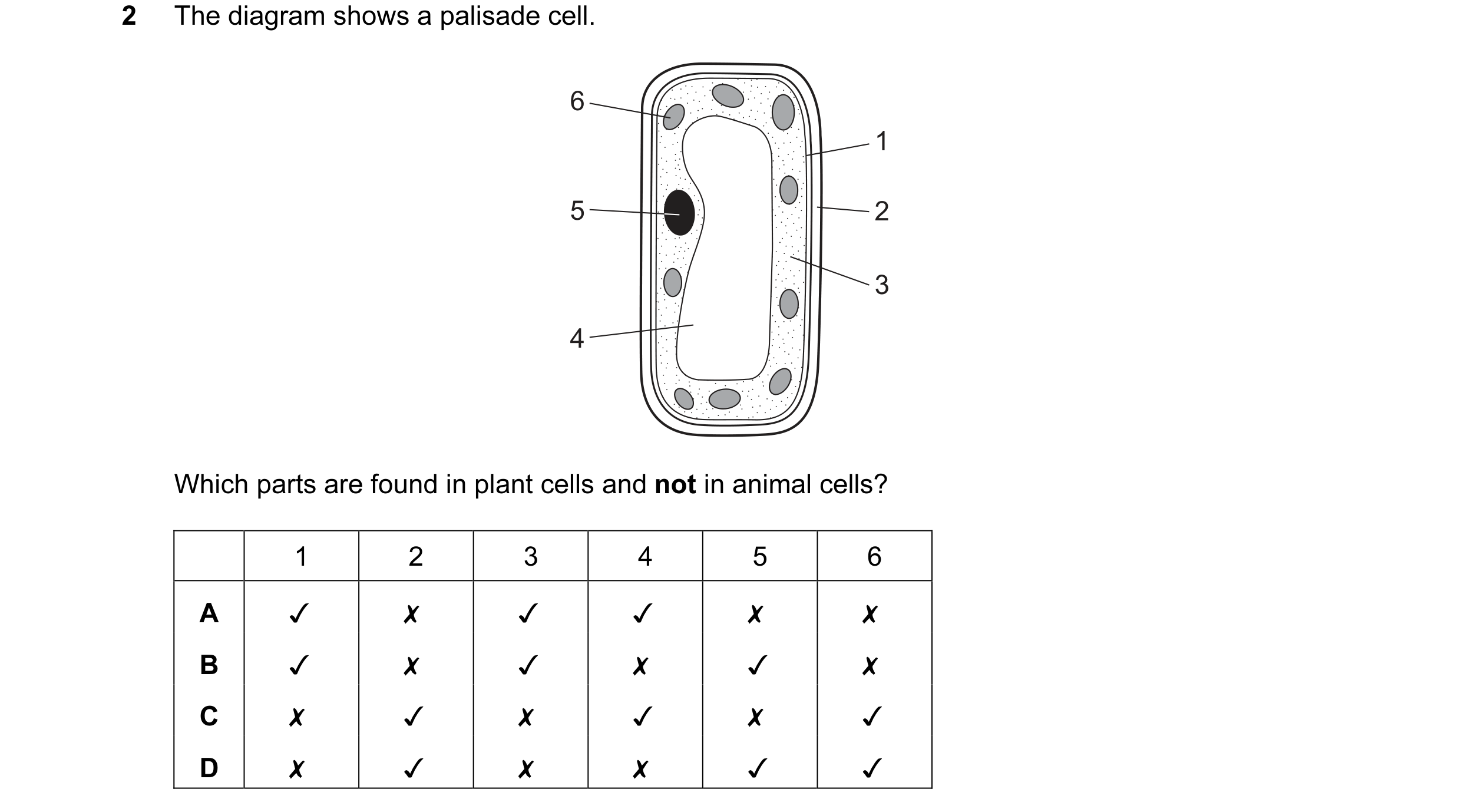 Question 42: The diagram shows a palisade cell.

Which parts are found in plant cells and not in animal cells?

\ <x x lo

0 0O WwW >