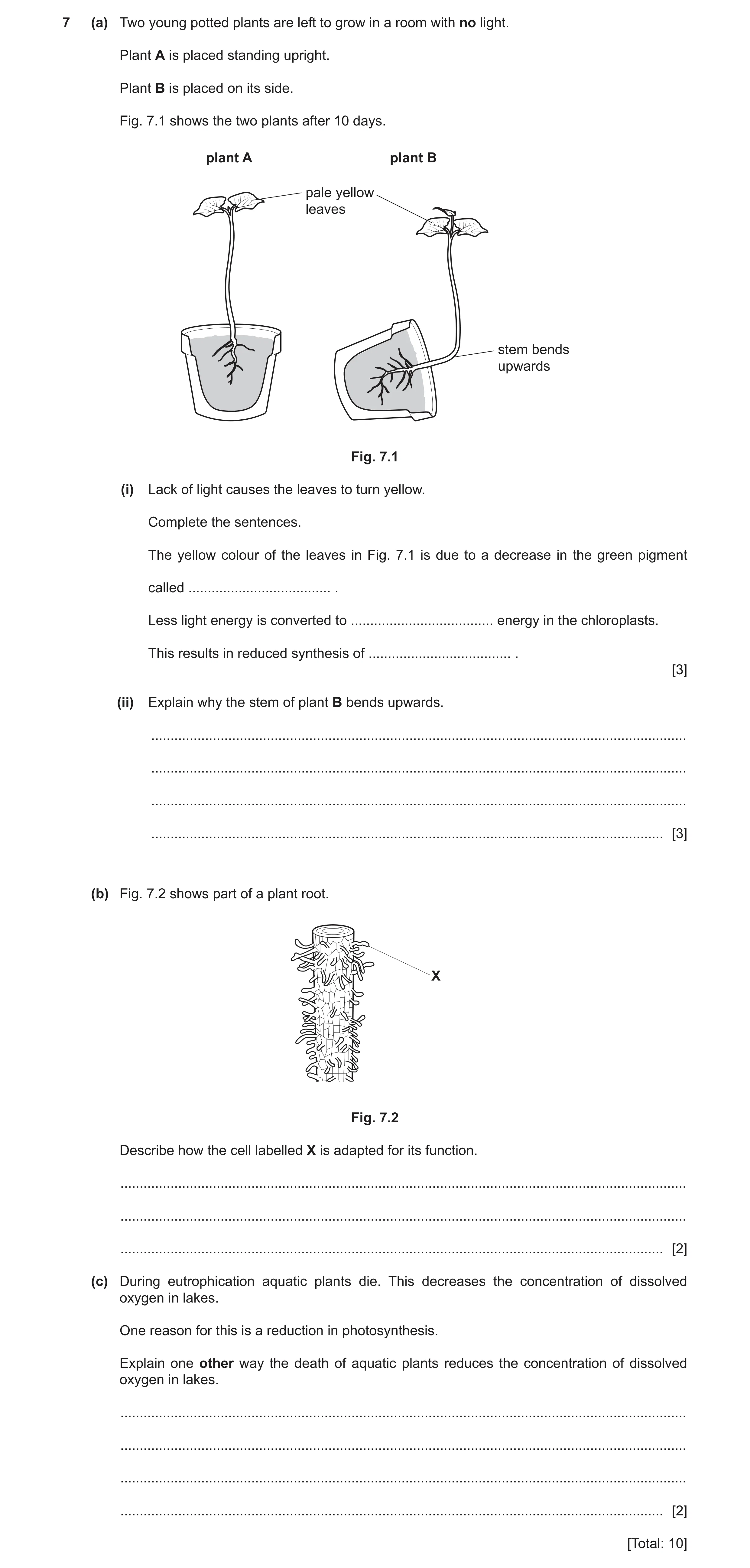 Question 26: (a) Two young potted plants are left to grow in a room with no light. Plant A is placed standing upright. Plant B is placed on its side. Fi…