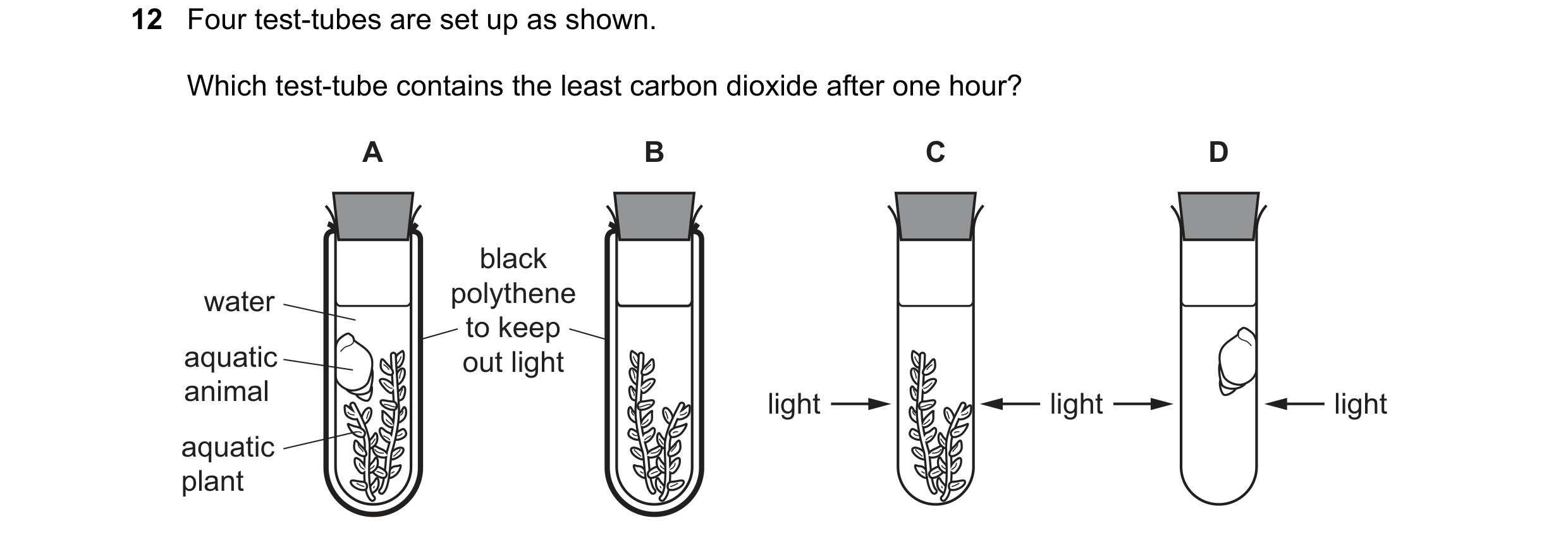 Question 20: Four test-tubes are set up as shown. Which test-tube contains the least carbon dioxide after one hour? A B C D black water polythene to kee…