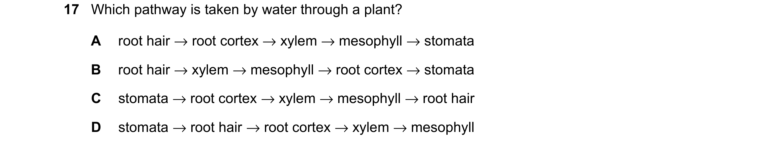 Question 14: Which pathway is taken by water through a plant? A root hair → root cortex → xylem → mesophyll → stomata B root hair → xylem → mesophyll → …