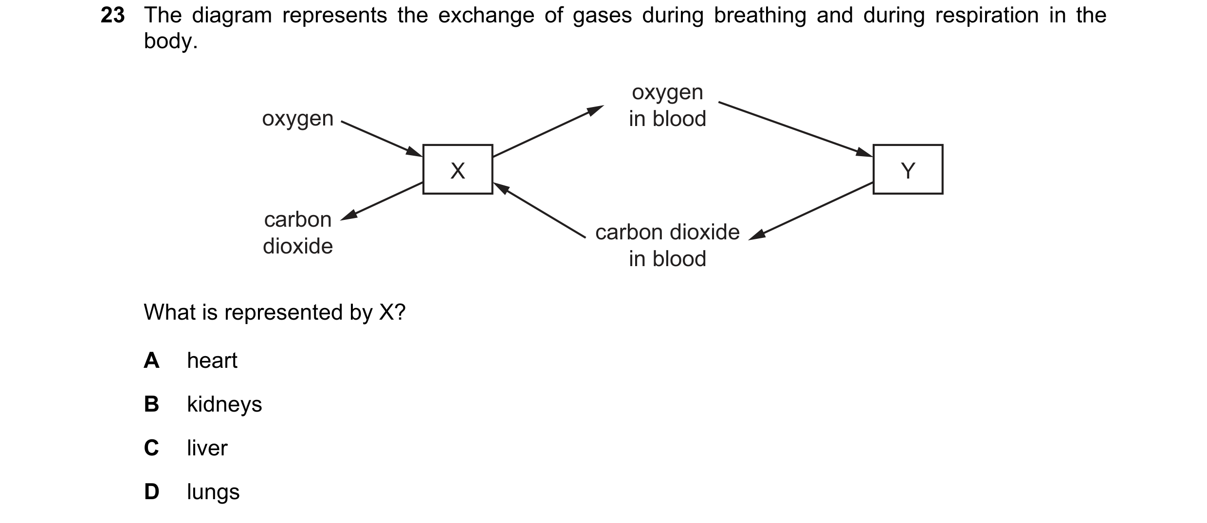 Question 22: The diagram represents the exchange of gases during breathing and during respiration in the body. oxygen oxygen in blood X Y carbon carbon …