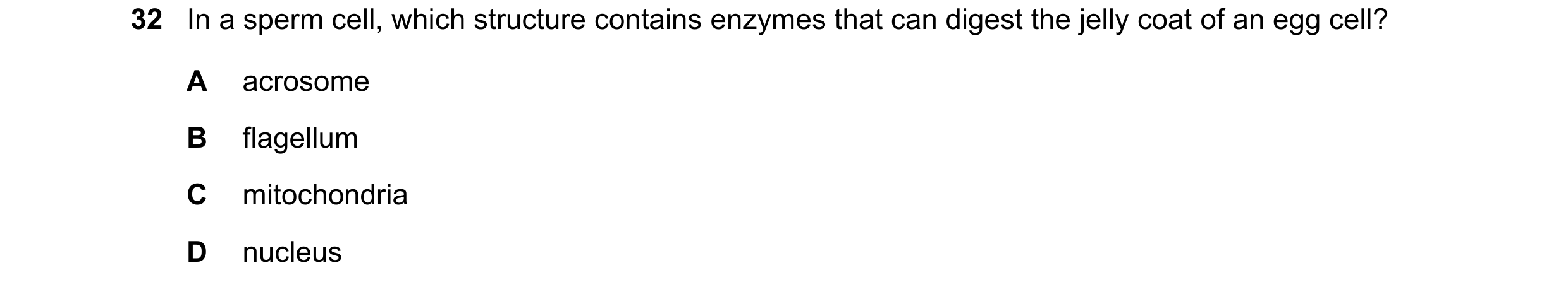 Question 21: In a sperm cell, which structure contains enzymes that can digest the jelly coat of an egg cell? A acrosome B flagellum C mitochondria D nu…