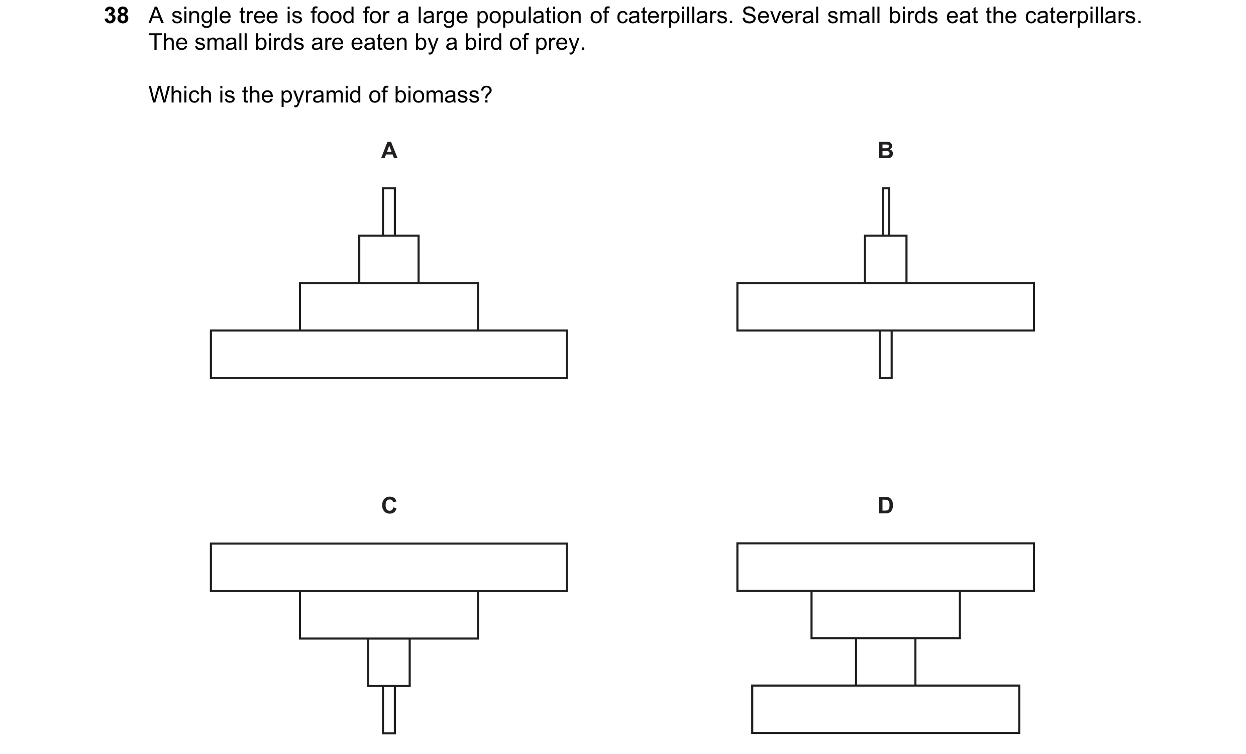 Question 20: A single tree is food for a large population of caterpillars. Several small birds eat the caterpillars. The small birds are eaten by a bird…