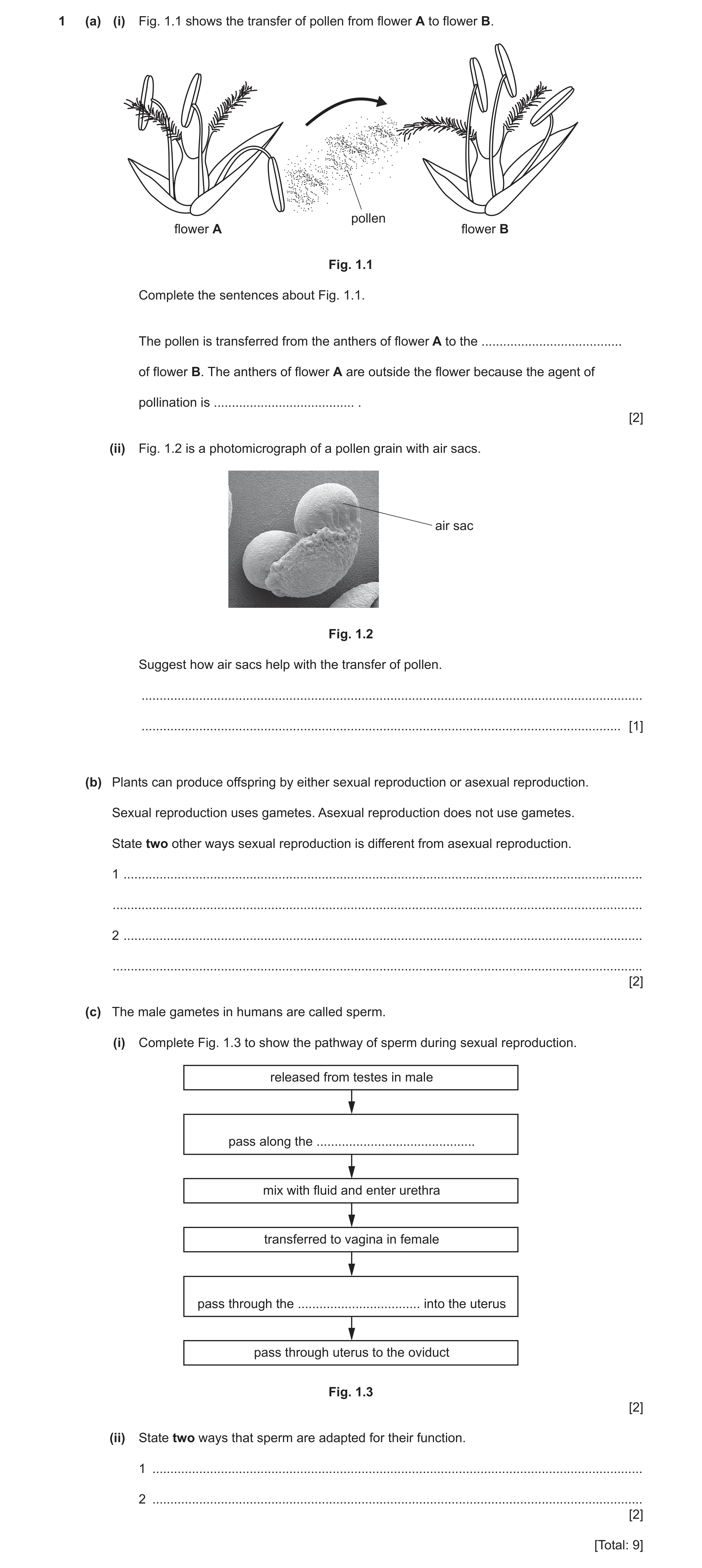 Question 20: (a) (i) Fig. 1.1 shows the transfer of pollen from flower A to flower B. pollen flower A flower B Fig. 1.1 Complete the sentences about Fig…