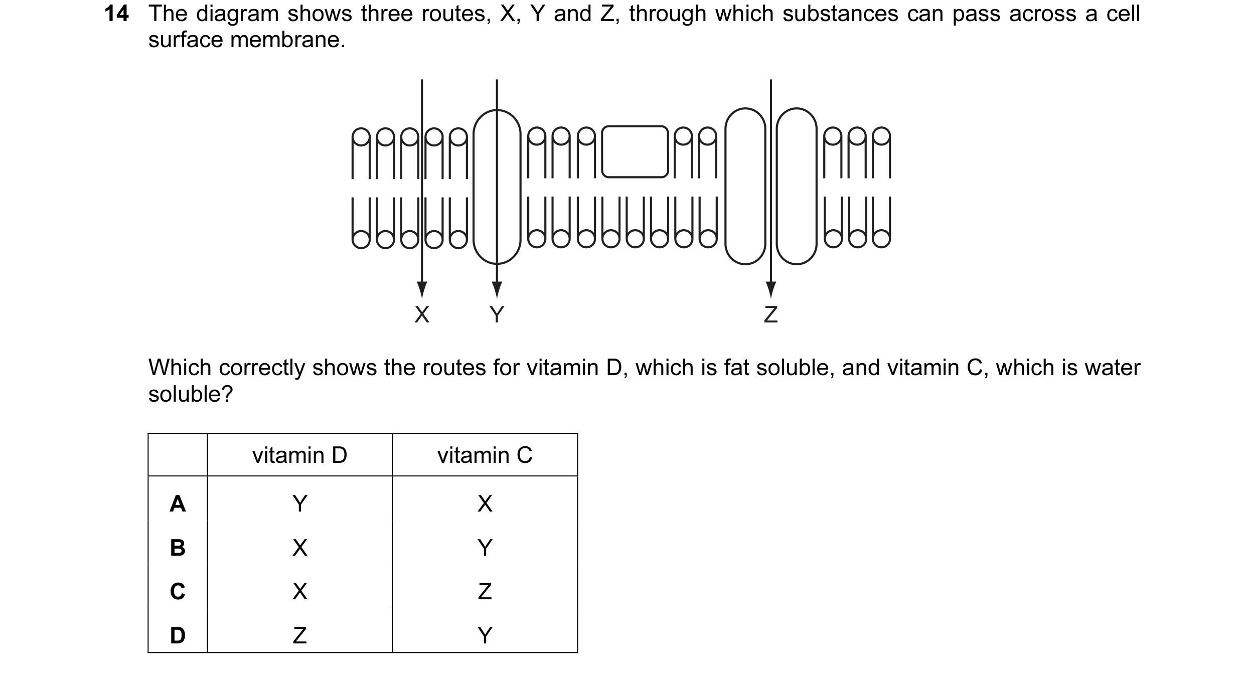 Question 88: The diagram shows three routes, X, Y and Z, through which substances can pass across a cell surface membrane. X Y Z Which correctly shows t…