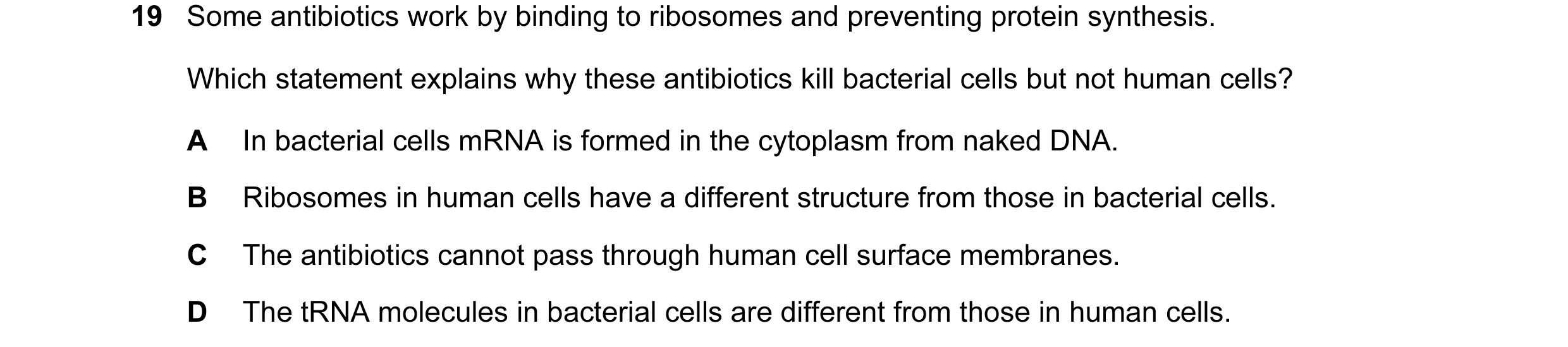 Question 17: Some antibiotics work by binding to ribosomes and preventing protein synthesis. Which statement explains why these antibiotics kill bacteri…