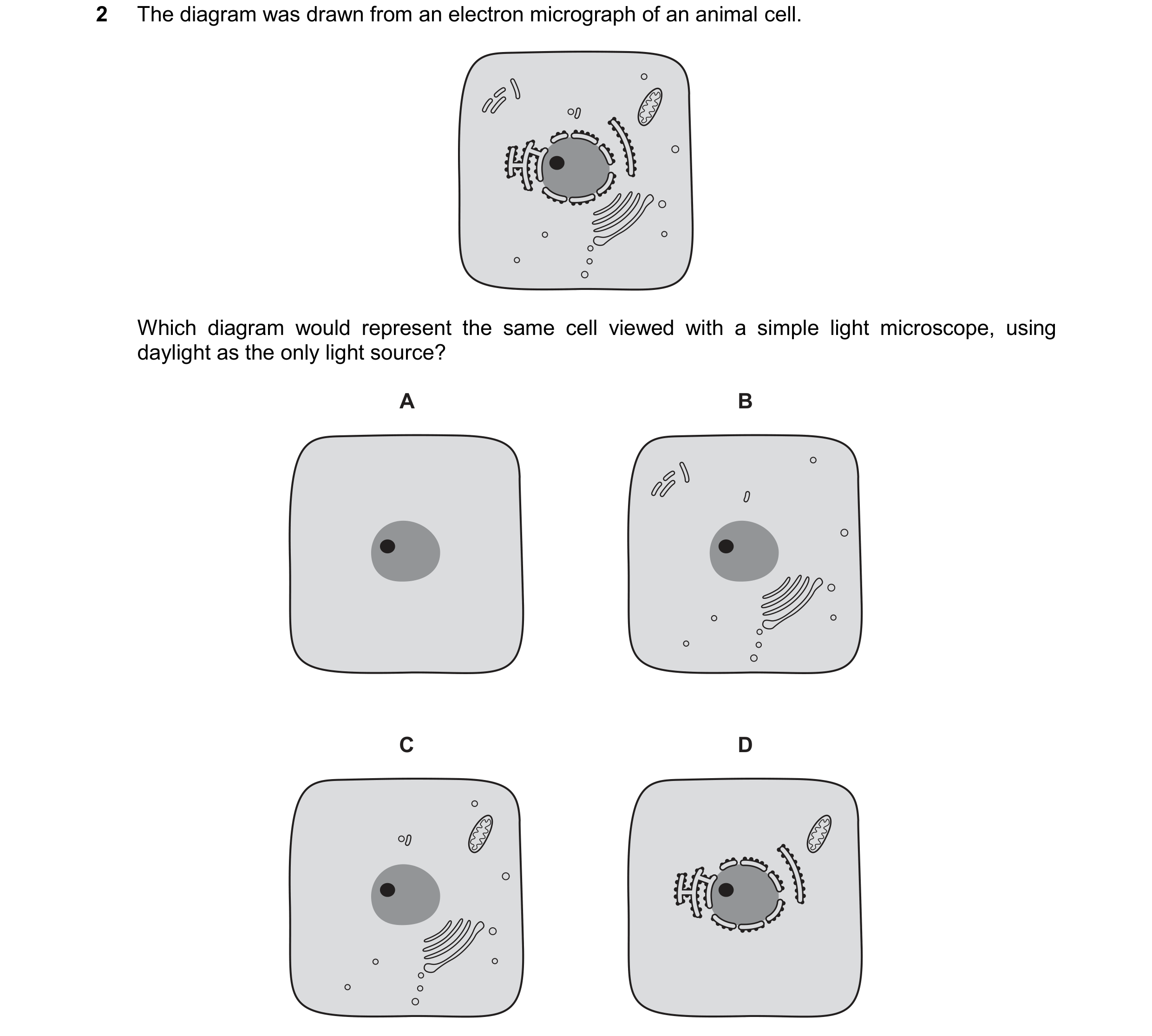 Question 374: The diagram was drawn from an electron micrograph of an animal cell. Which diagram would represent the same cell viewed with a simple light…