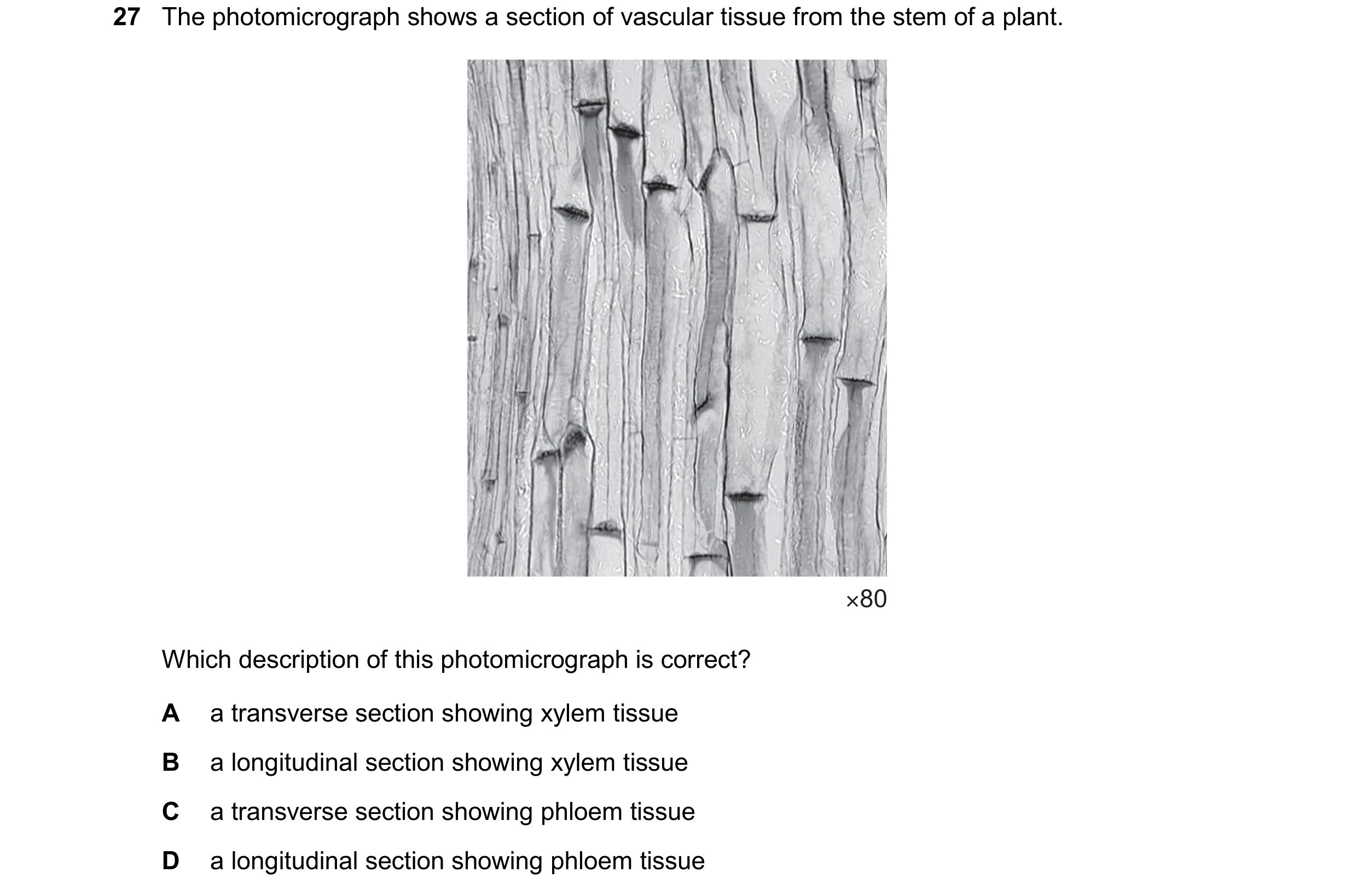 Question 115: The photomicrograph shows a section of vascular tissue from the stem of a plant. ×80 Which description of this photomicrograph is correct? …