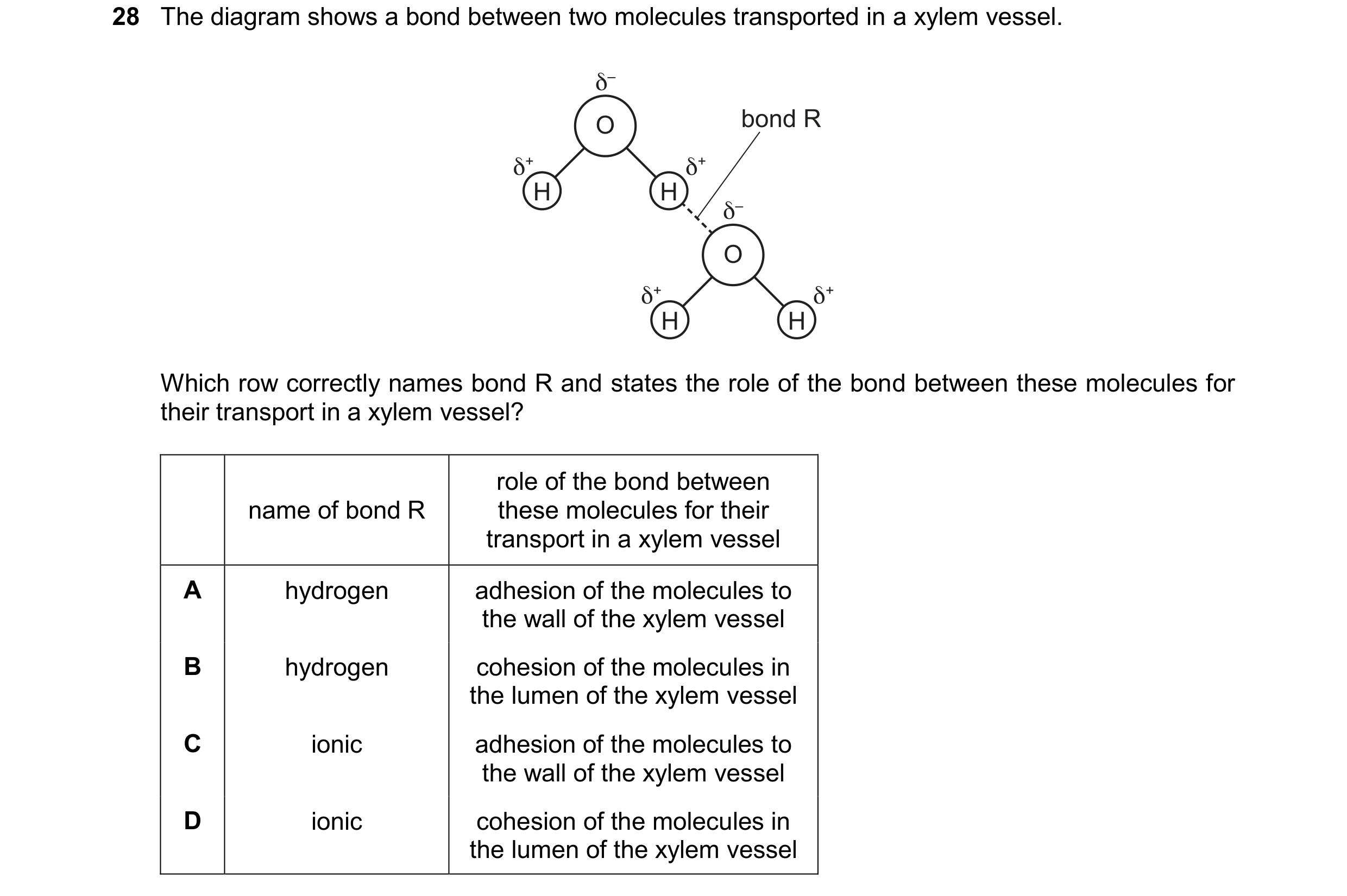 Question 332: The diagram shows a bond between two molecules transported in a xylem vessel. δ– O bond R δ+ δ+ H H δ– O δ+ δ+ H H Which row correctly name…
