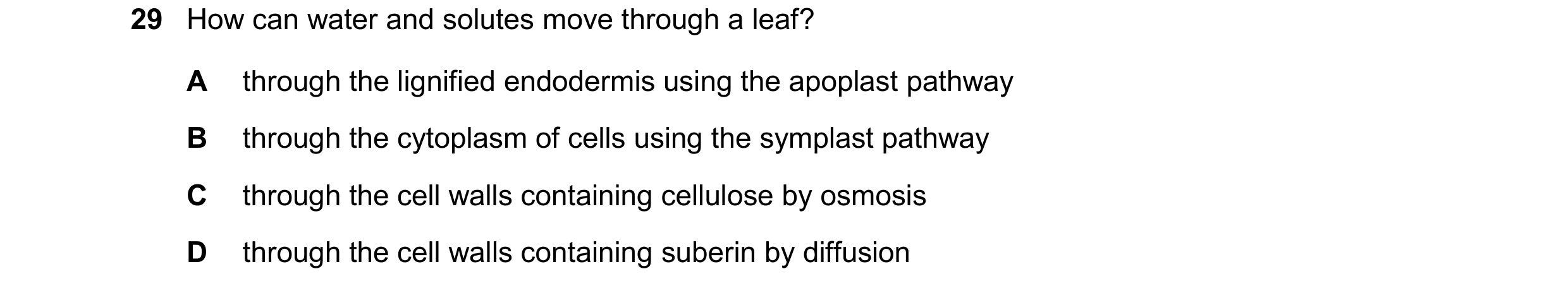 Question 333: How can water and solutes move through a leaf? A through the lignified endodermis using the apoplast pathway B through the cytoplasm of cel…