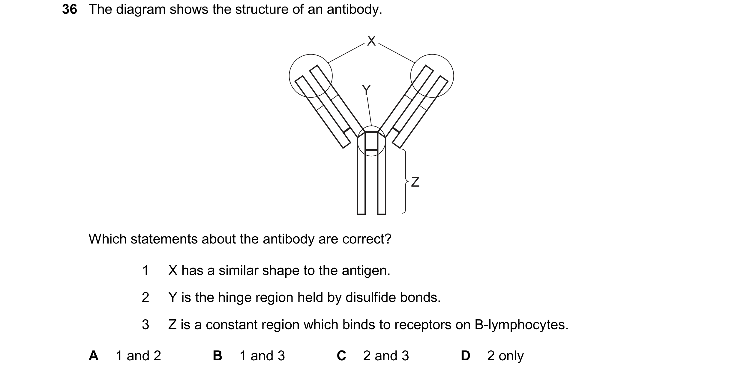 Question 154: The diagram shows the structure of an antibody. X Y Z Which statements about the antibody are correct? 1 X has a similar shape to the antig…