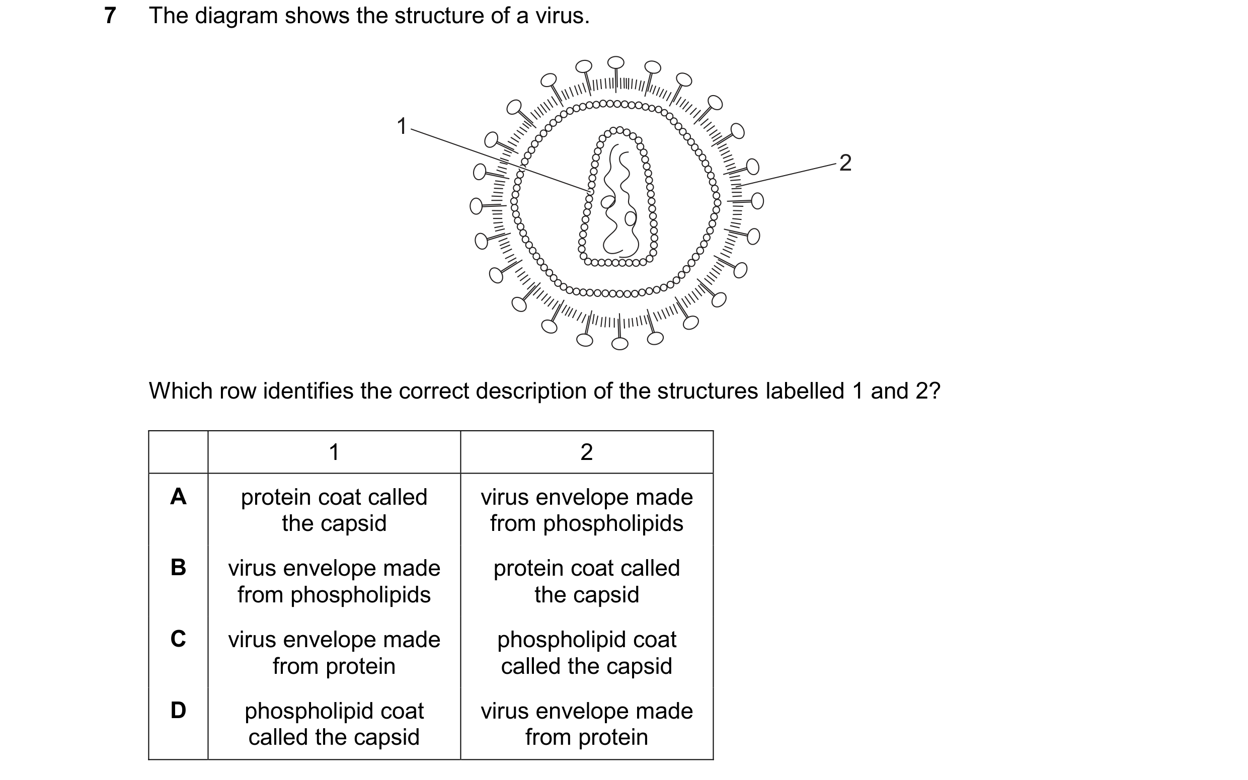 Question 378: The diagram shows the structure of a virus. 1 2 Which row identifies the correct description of the structures labelled 1 and 2? 1 2 A prot…