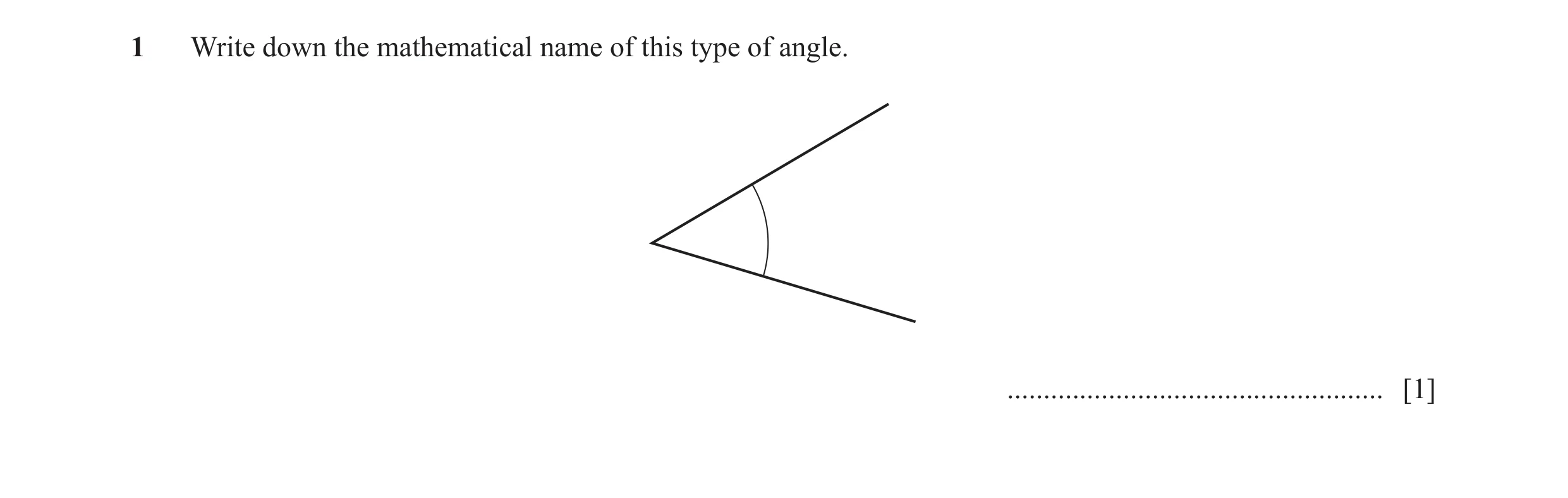 Question 84: Write down the mathematical name of this type of angle. .................................................... [1]