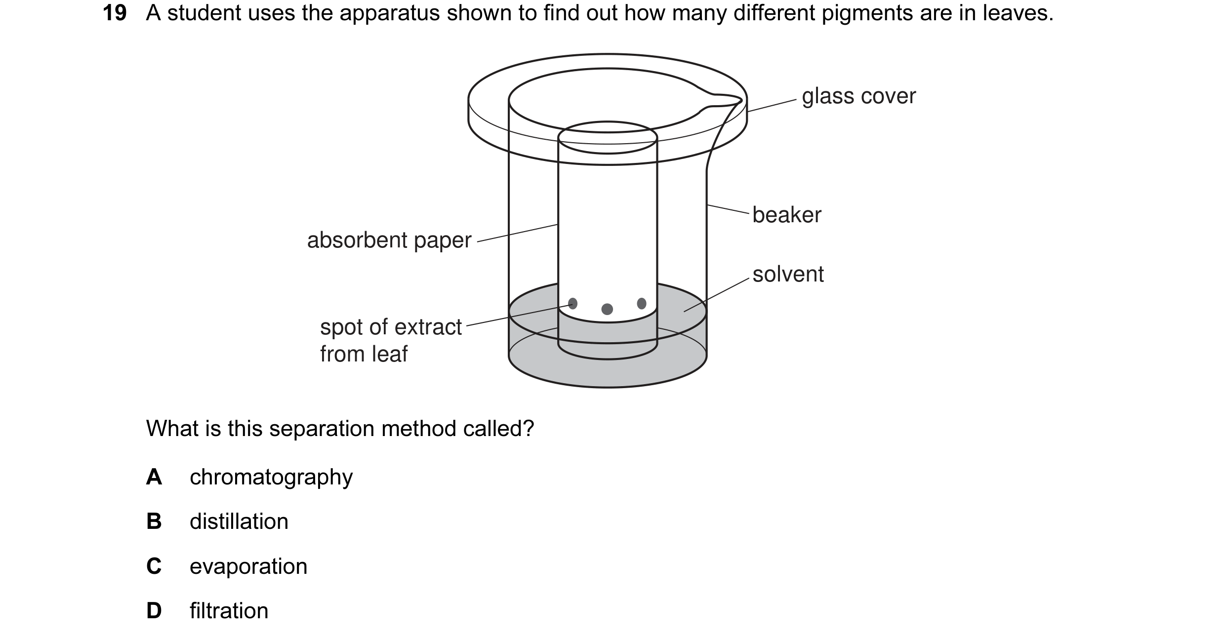 Question 8: A student uses the apparatus shown to find out how many different pigments are in leaves. glass cover beaker absorbent paper solvent spot o…