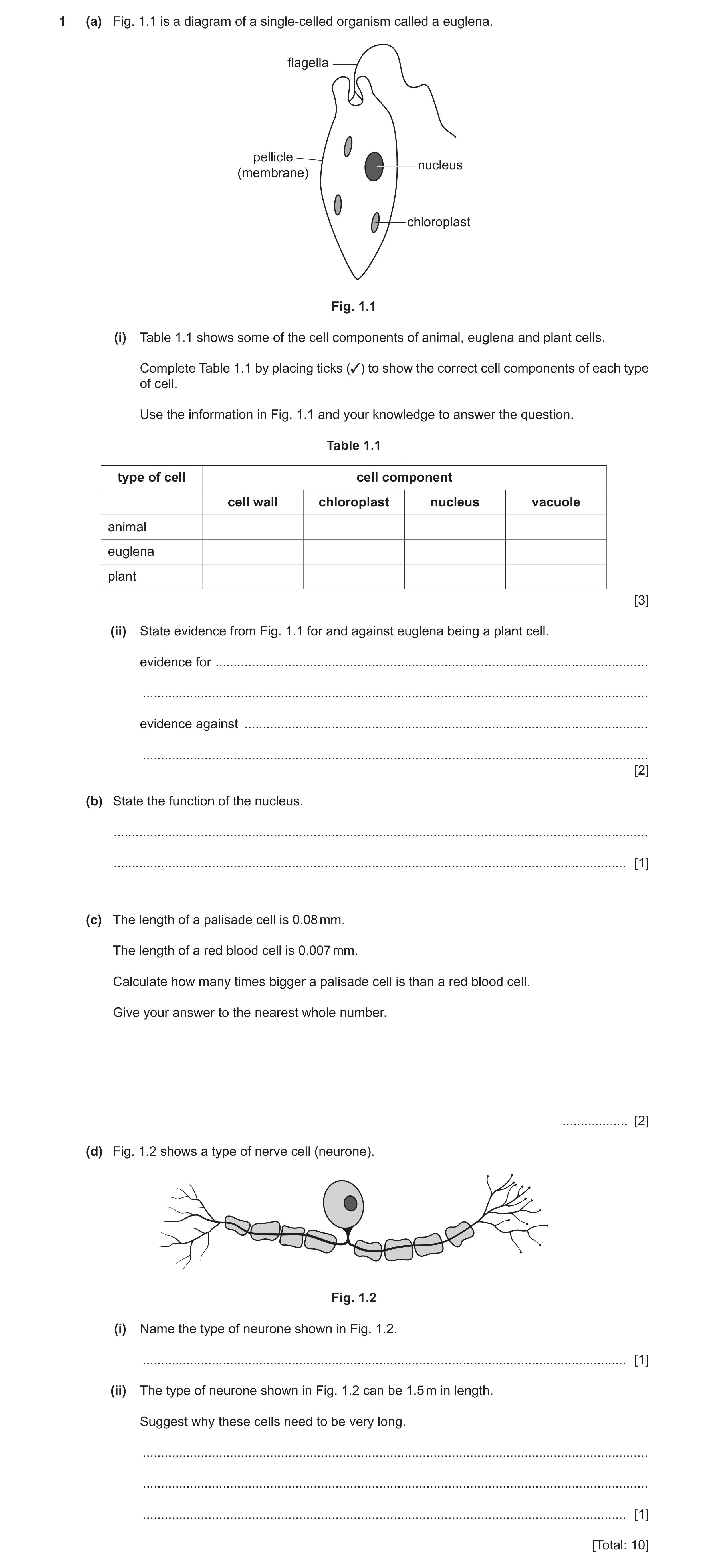 Question 12: (a) Fig. 1.1 is a diagram of a single‑celled organism called a euglena. flagella pellicle nucleus (membrane) chloroplast Fig. 1.1 (i) Table…