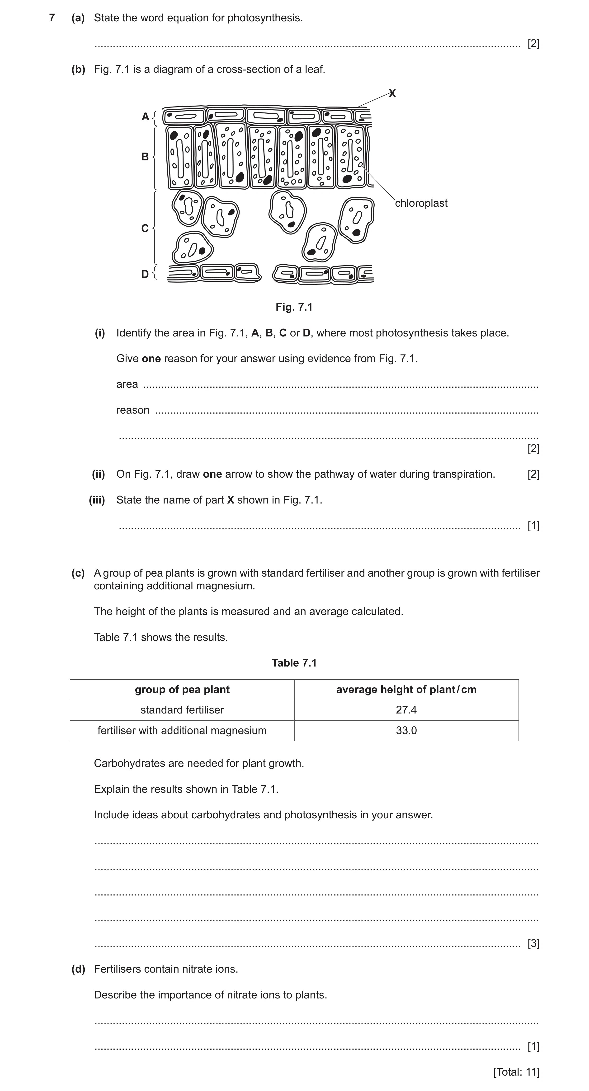 Question 8: (a) State the word equation for photosynthesis. ...........................................................................................…