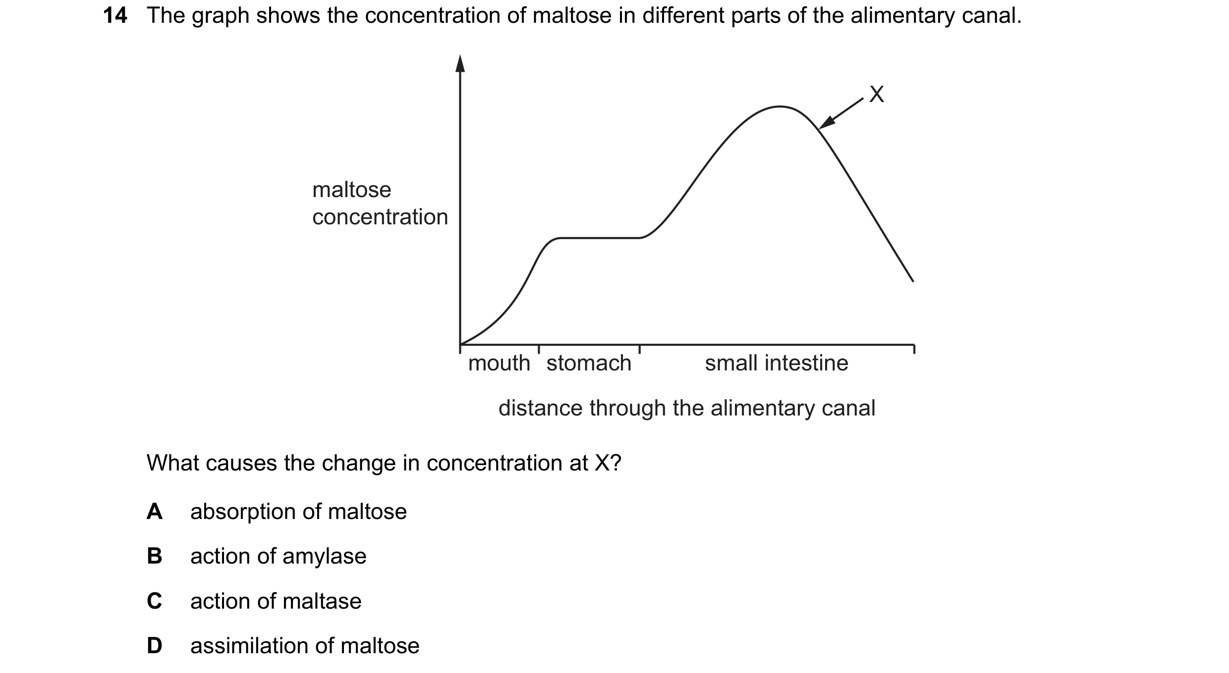 Question 9: The graph shows the concentration of maltose in different parts of the alimentary canal. X maltose concentration mouth stomach small intest…