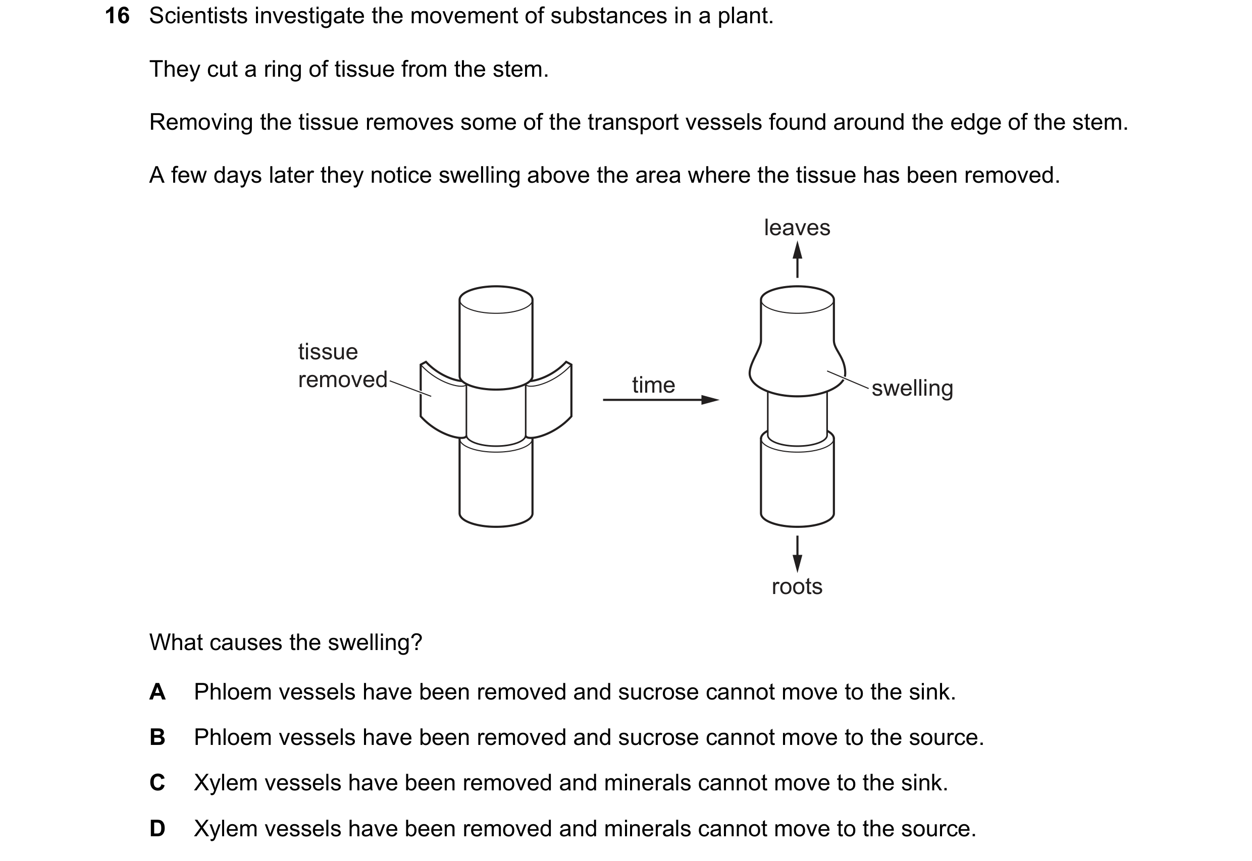 Question 10: Scientists investigate the movement of substances in a plant. They cut a ring of tissue from the stem. Removing the tissue removes some of …