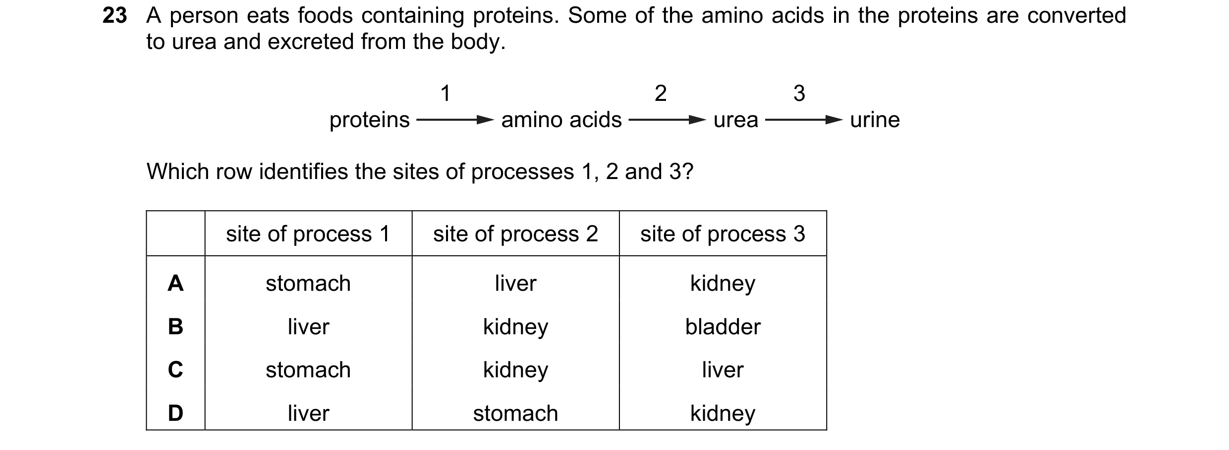 Question 11: A person eats foods containing proteins. Some of the amino acids in the proteins are converted to urea and excreted from the body. 1 2 3 pr…