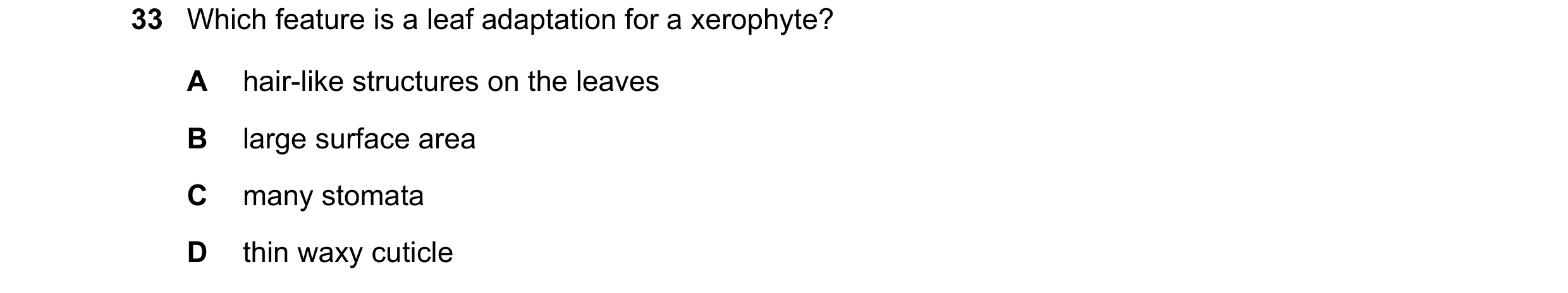 Question 19: Which feature is a leaf adaptation for a xerophyte? A hair-like structures on the leaves B large surface area C many stomata D thin waxy cu…