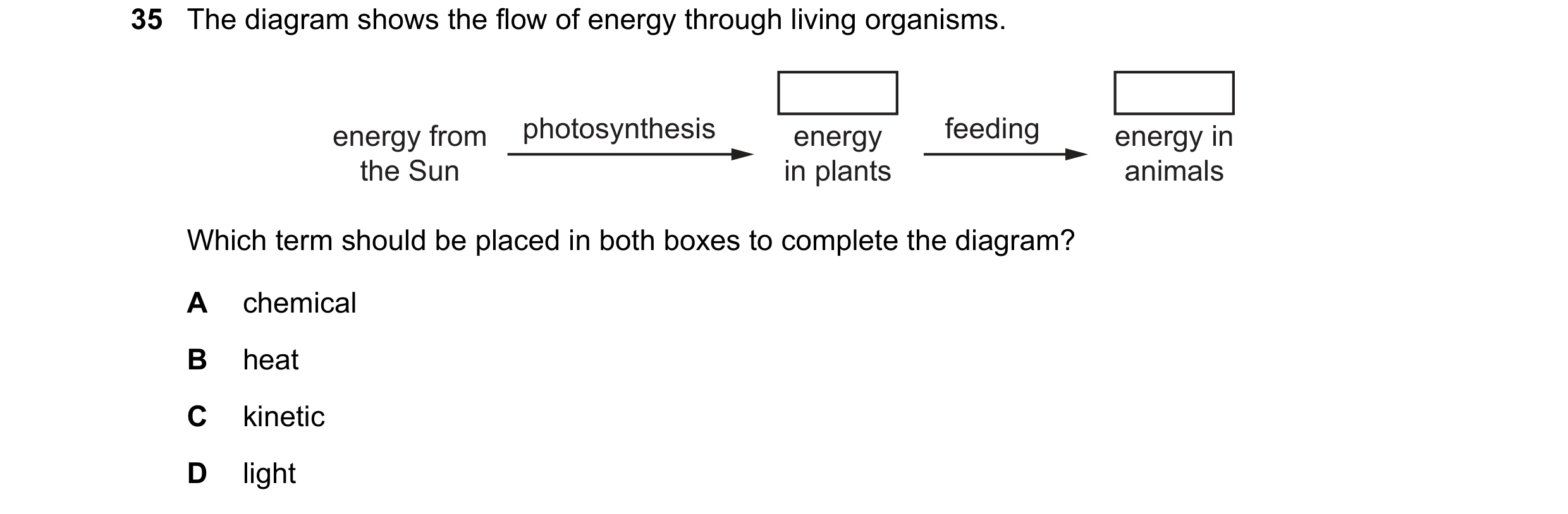 Question 9: The diagram shows the flow of energy through living organisms. energy from photosynthesis energy feeding energy in the Sun in plants animal…