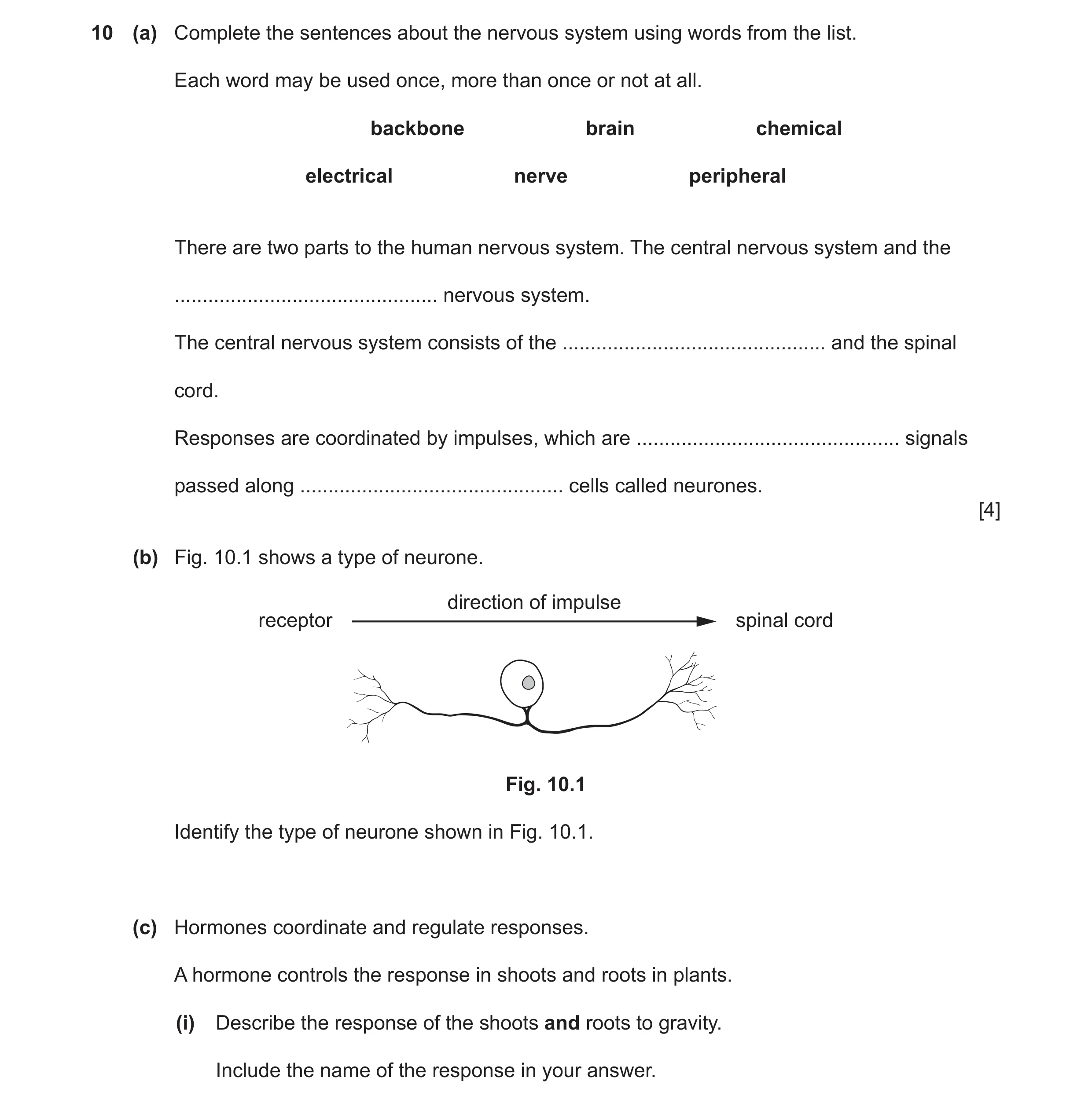 Question 7: (a) Complete the sentences about the nervous system using words from the list. Each word may be used once, more than once or not at all. ba…