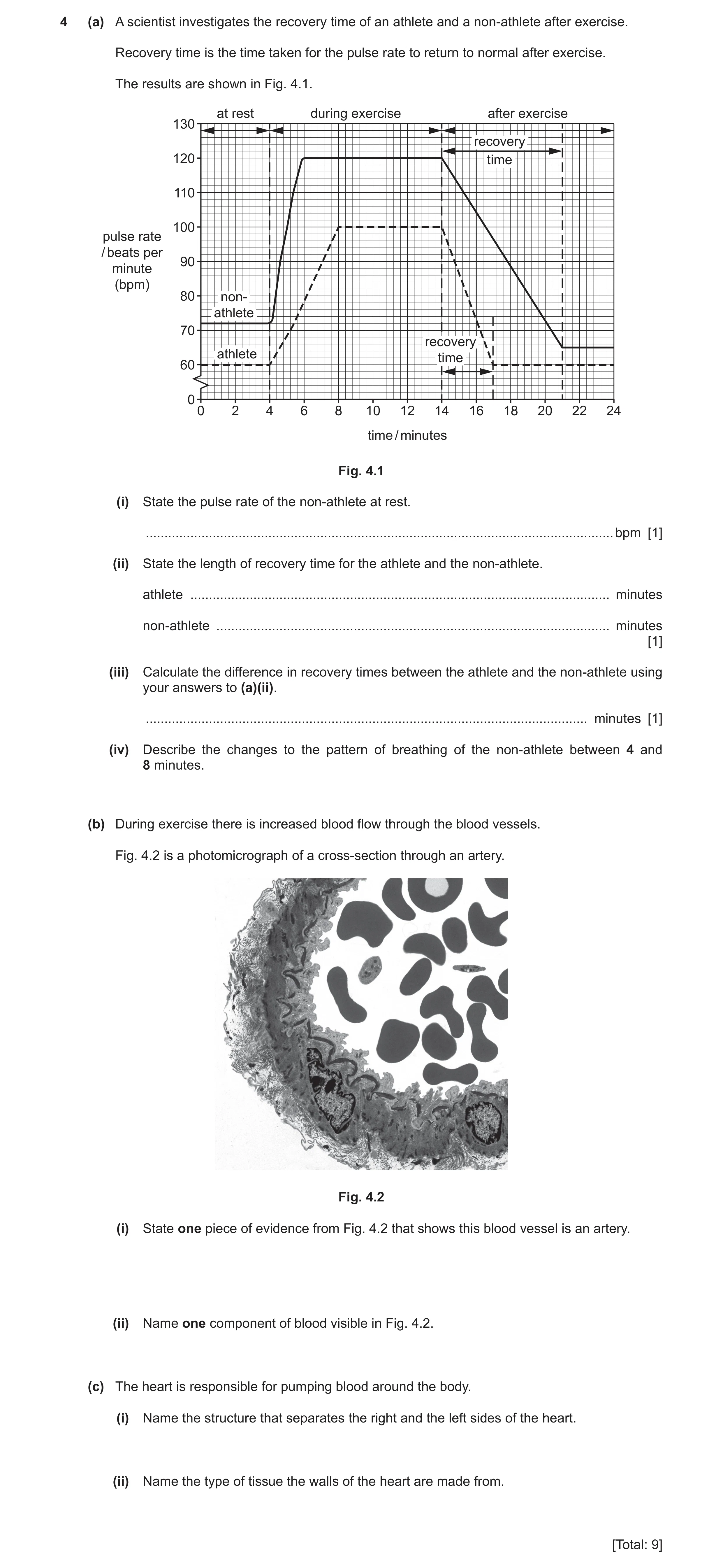 Question 6: (a) A scientist investigates the recovery time of an athlete and a non‑athlete after exercise. Recovery time is the time taken for the puls…