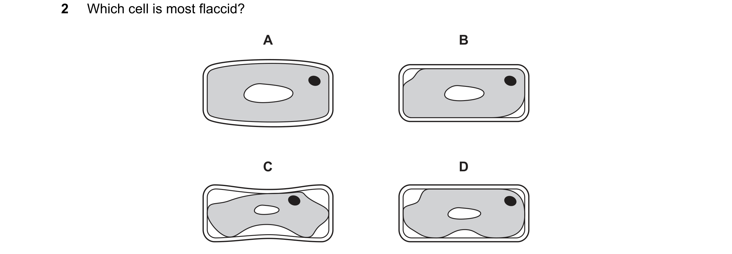 Question 9: Which cell is most flaccid? A B C D