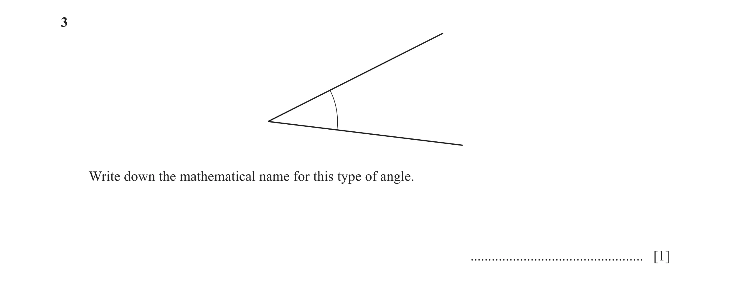 Question 99: Write down the mathematical name for this type of angle. ................................................. [1]
