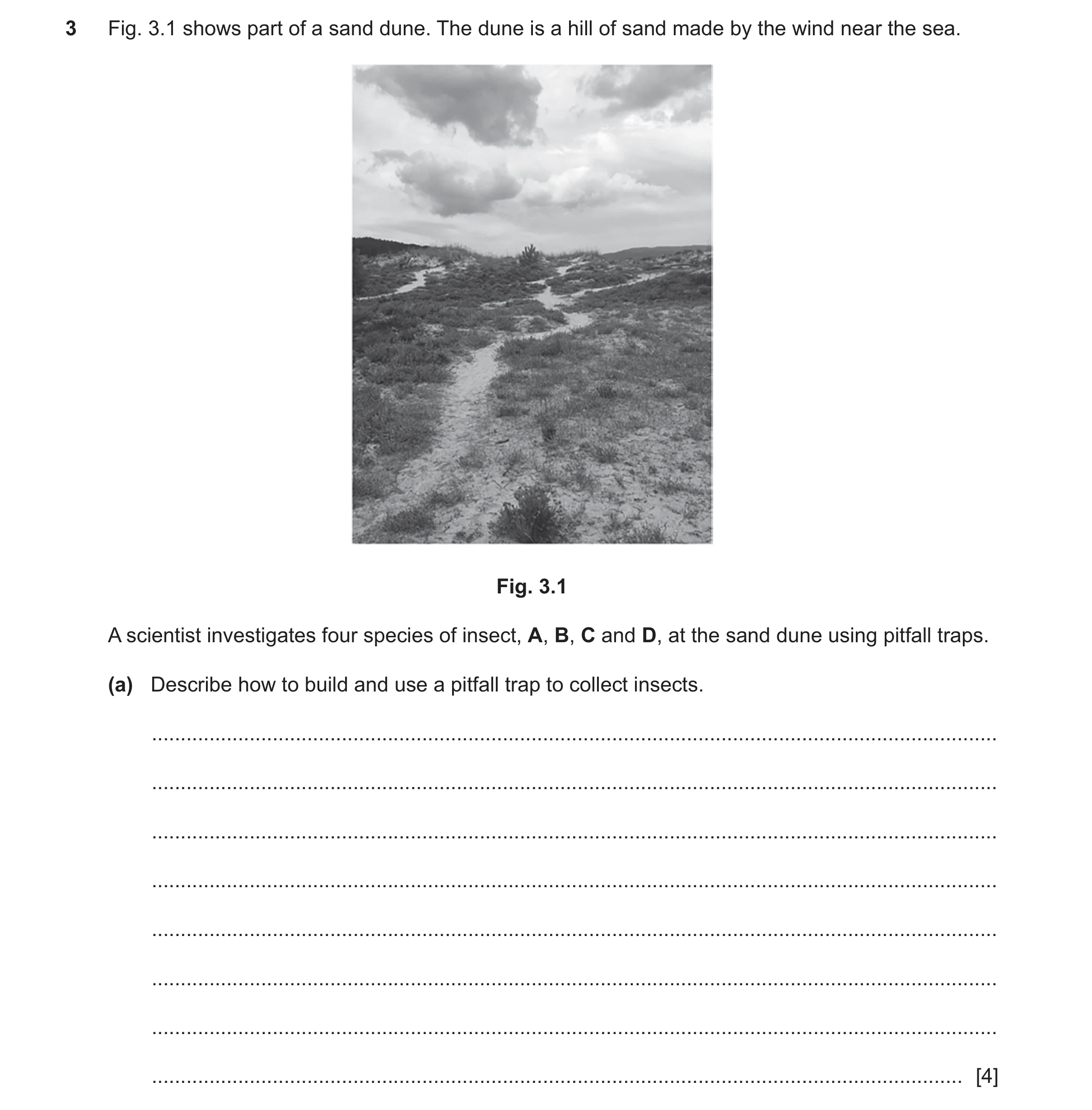 Question 43: Fig. 3.1 shows part of a sand dune. The dune is a hill of sand made by the wind near the sea. Fig. 3.1 A scientist investigates four specie…