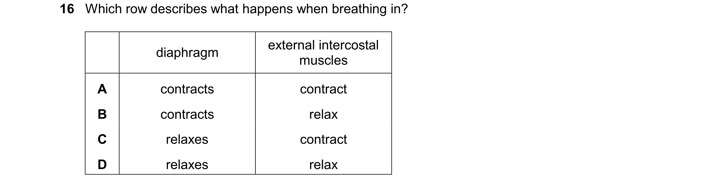 Question 30: Which row describes what happens when breathing in? external intercostal diaphragm muscles A contracts contract B contracts relax C relaxes…