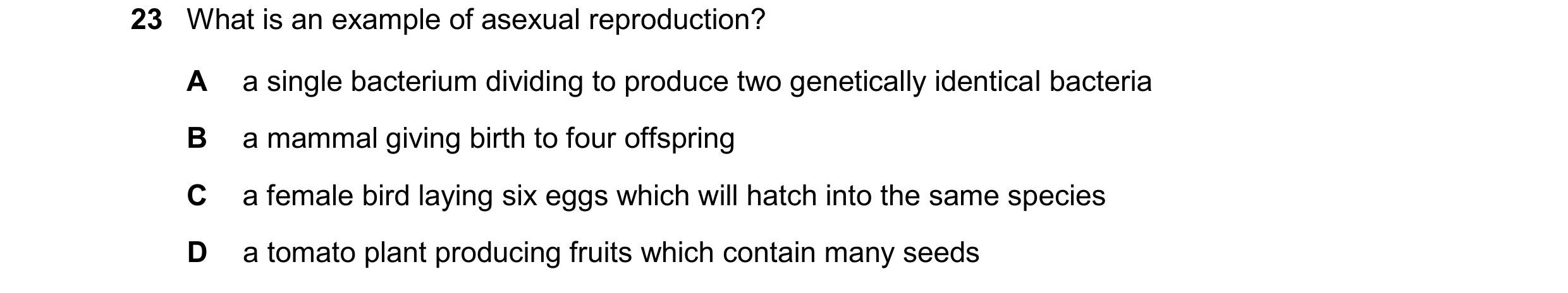Question 11: What is an example of asexual reproduction? A a single bacterium dividing to produce two genetically identical bacteria B a mammal giving b…