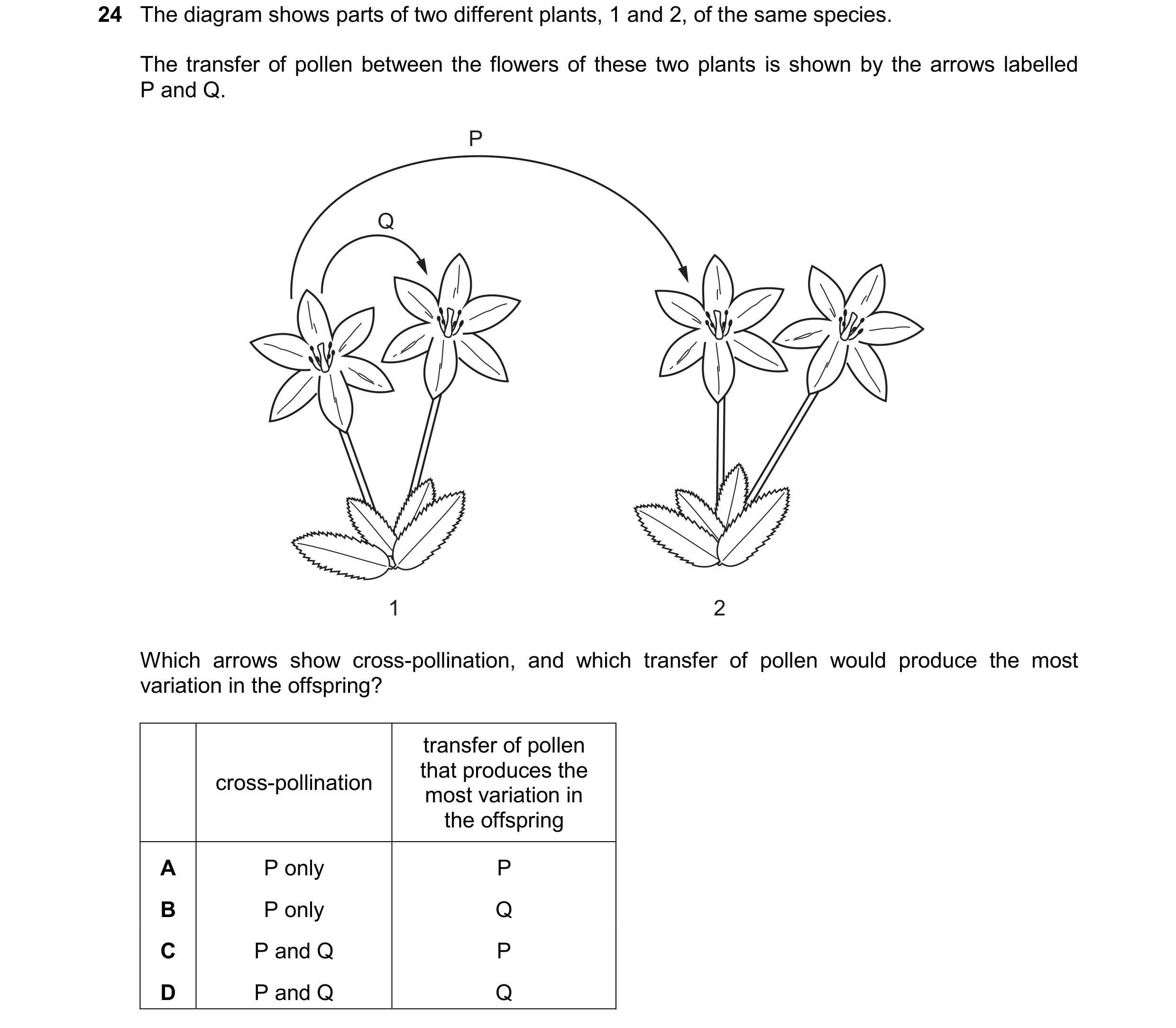 Question 13: The diagram shows parts of two different plants, 1 and 2, of the same species. The transfer of pollen between the flowers of these two plan…