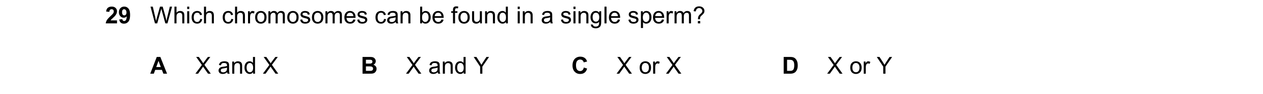 Question 16: Which chromosomes can be found in a single sperm? A X and X B X and Y C X or X D X or Y