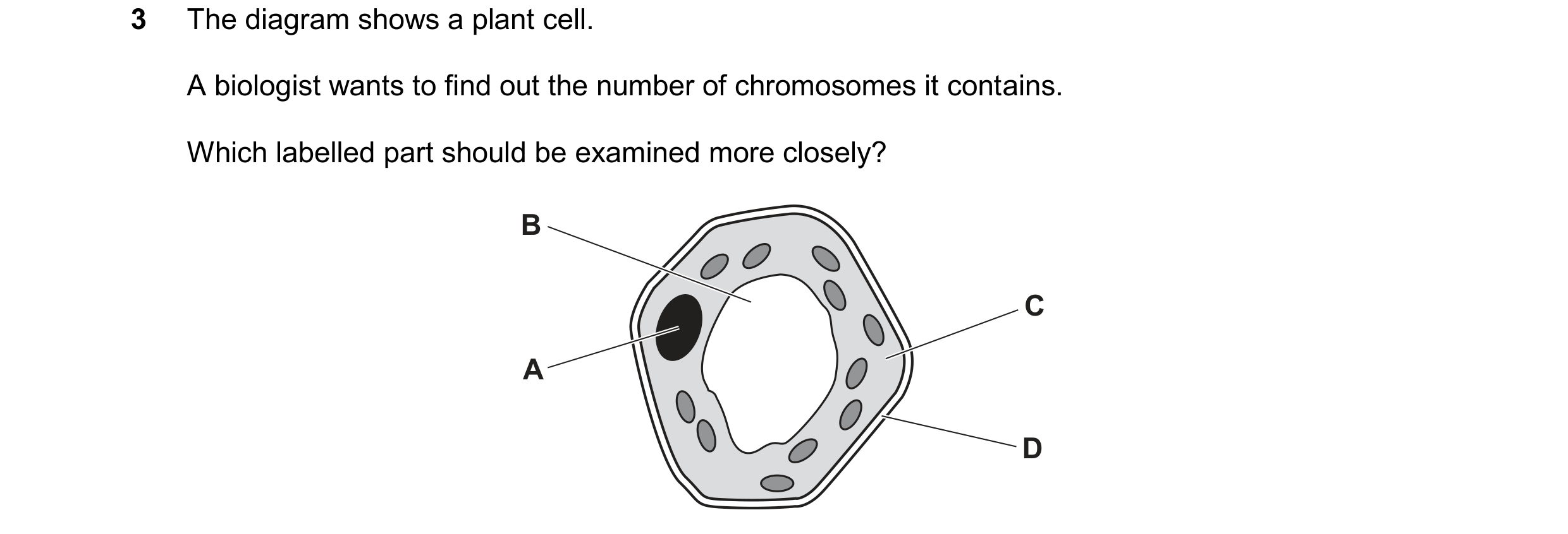 Question 47: The diagram shows a plant cell. A biologist wants to find out the number of chromosomes it contains. Which labelled part should be examined…