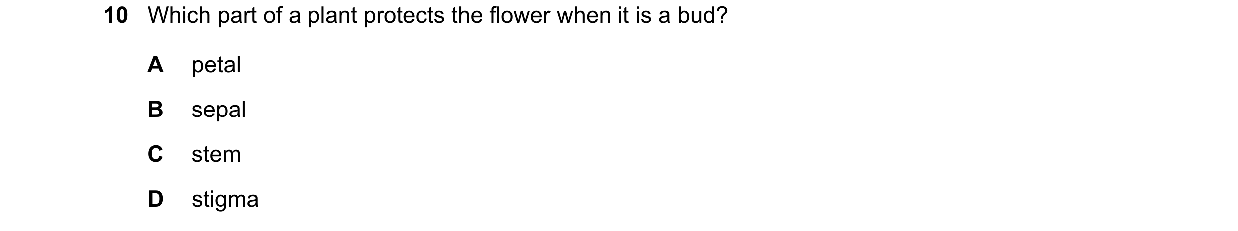 Question 60: Which part of a plant protects the flower when it is a bud? A petal B sepal C stem D stigma