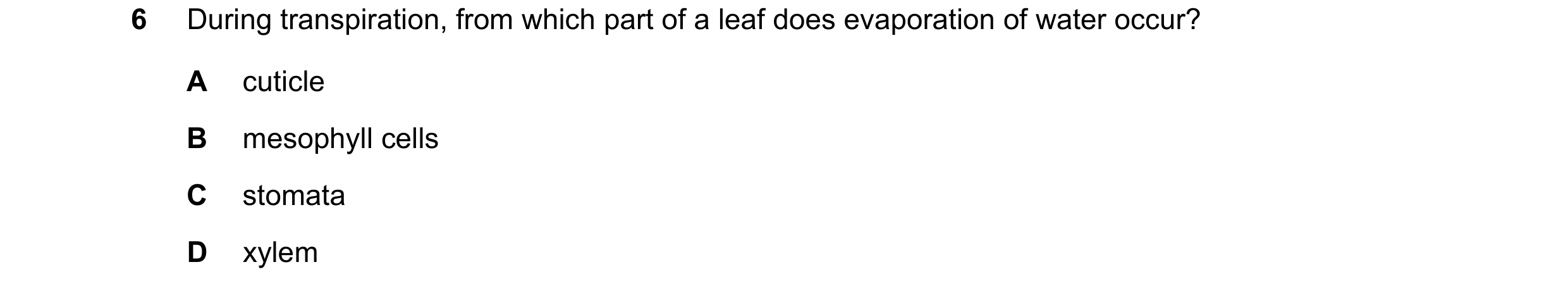 Question 27: During transpiration, from which part of a leaf does evaporation of water occur? A cuticle B mesophyll cells C stomata D xylem