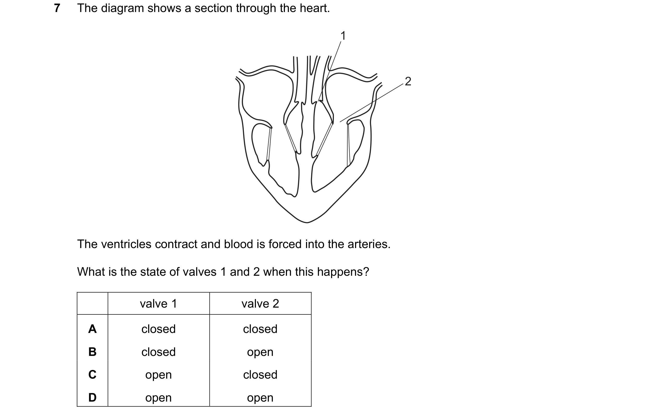 Question 40: The diagram shows a section through the heart. 1 2 The ventricles contract and blood is forced into the arteries. What is the state of valv…