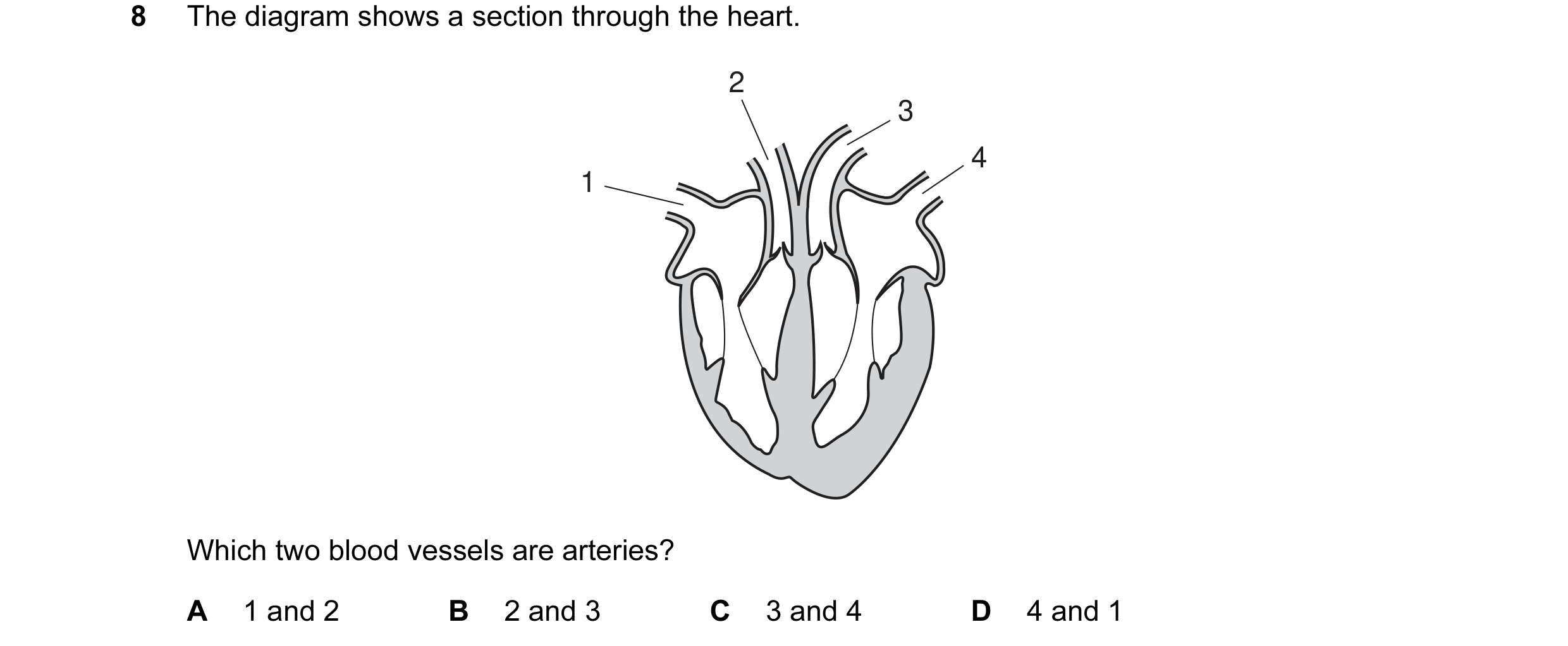 Question 9: The diagram shows a section through the heart. 2 3 4 1 Which two blood vessels are arteries? A 1 and 2 B 2 and 3 C 3 and 4 D 4 and 1