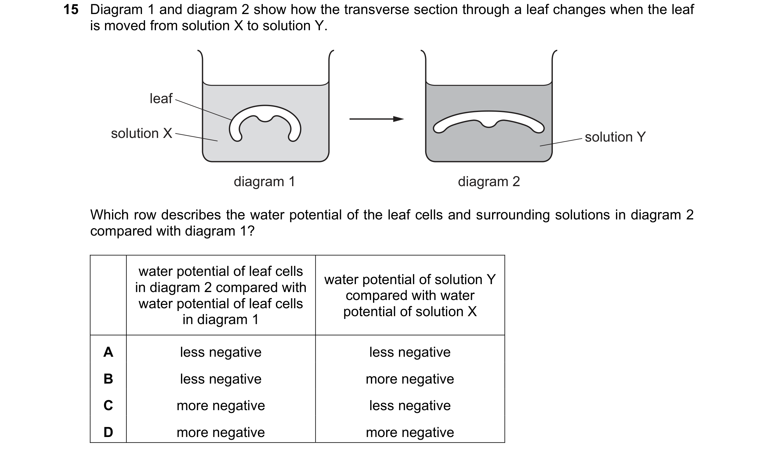 Question 172: Diagram 1 and diagram 2 show how the transverse section through a leaf changes when the leaf is moved from solution X to solution Y. leaf s…