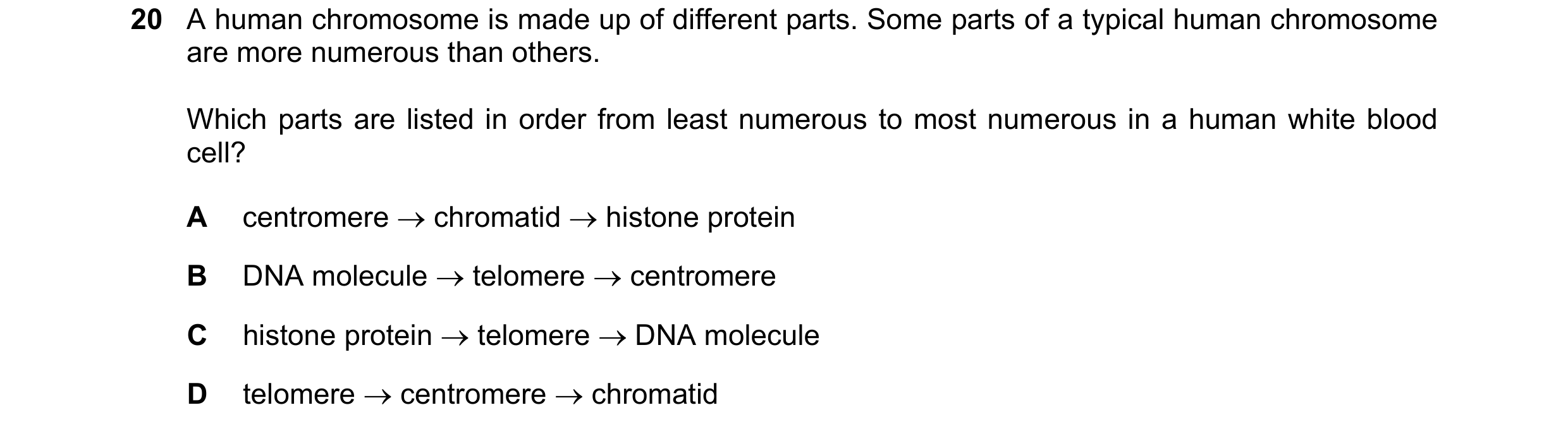 Question 89: A human chromosome is made up of different parts. Some parts of a typical human chromosome are more numerous than others. Which parts are l…