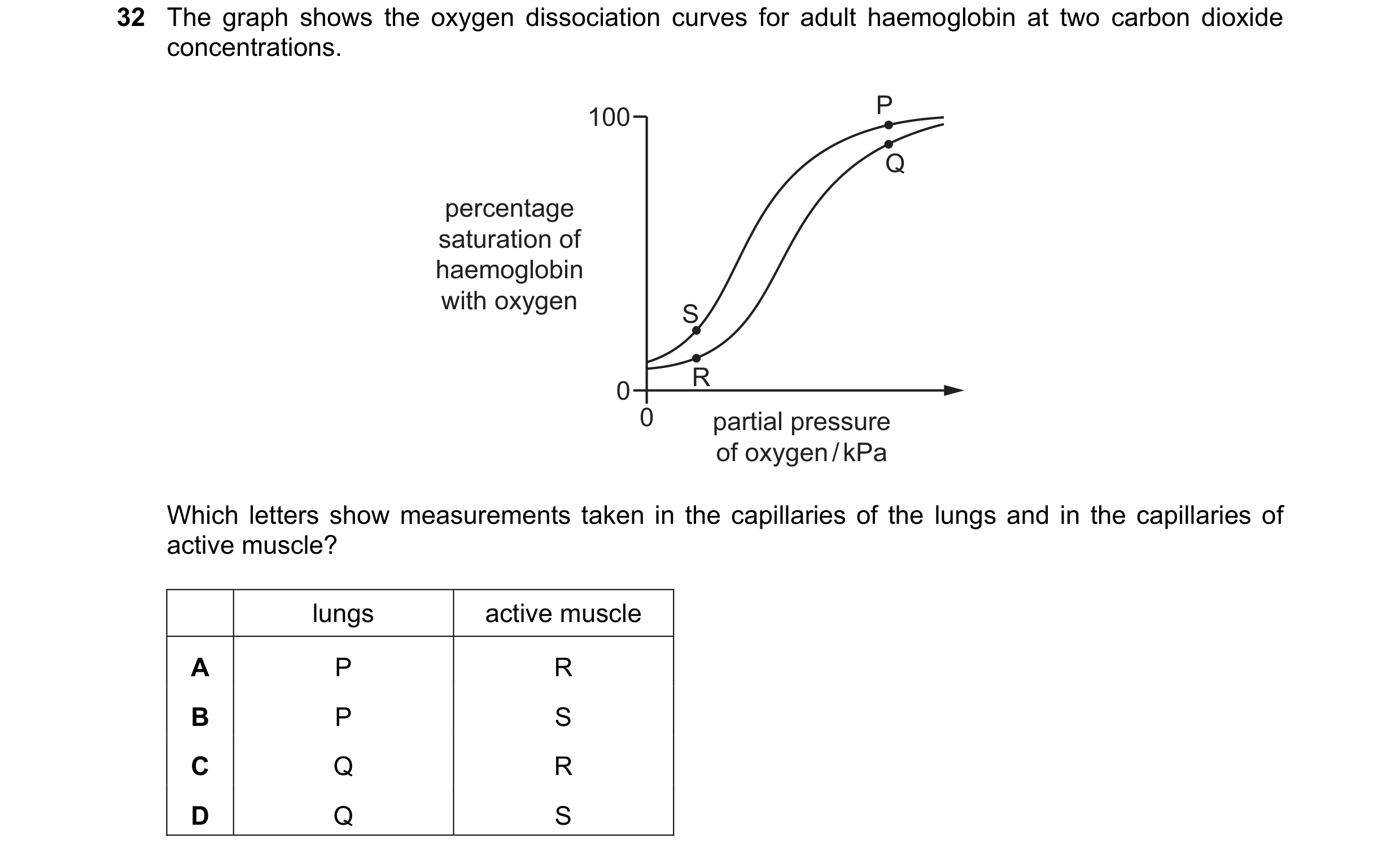 Question 135: The graph shows the oxygen dissociation curves for adult haemoglobin at two carbon dioxide concentrations. 100 P Q percentage saturation of…