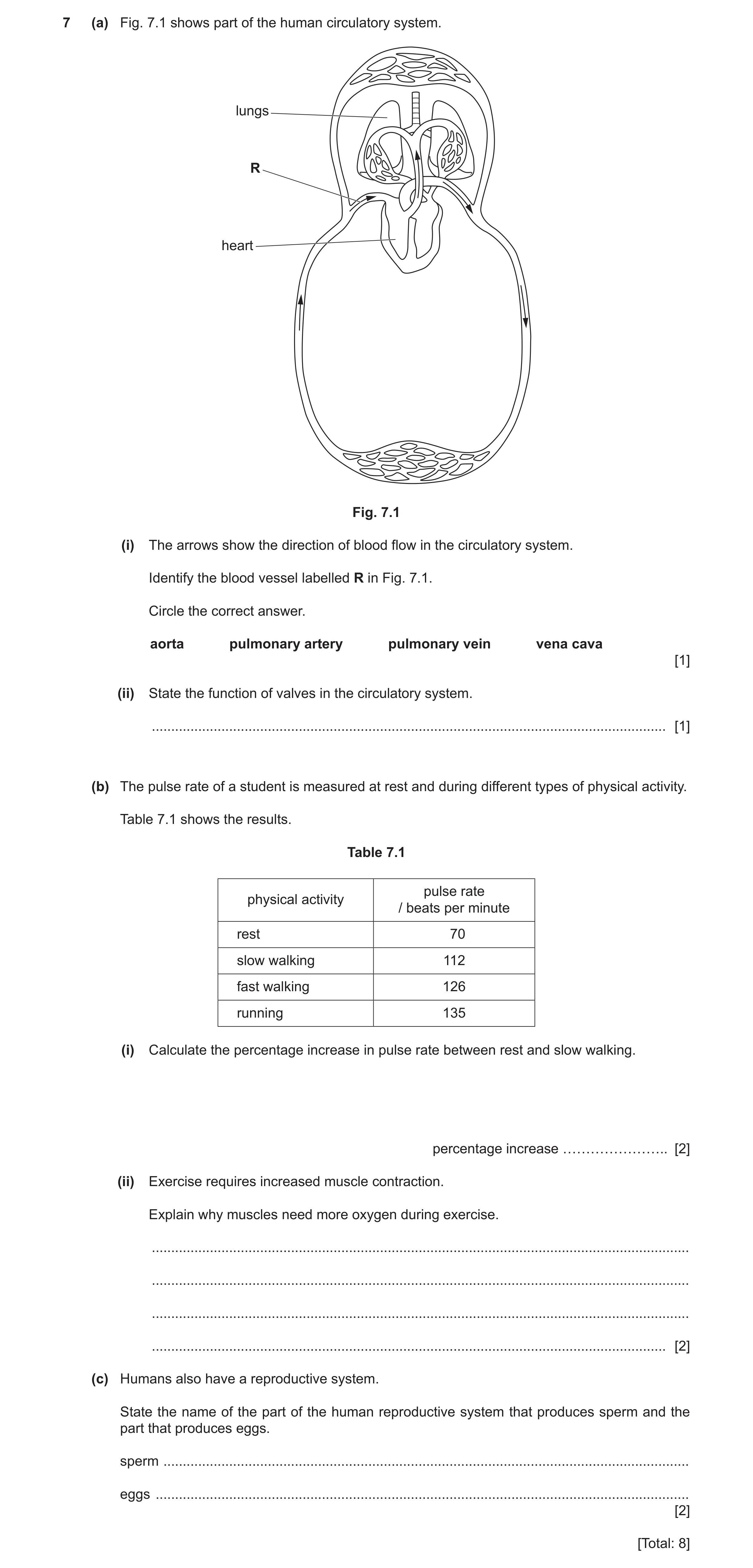 Question 10: (a) Fig. 7.1 shows part of the human circulatory system. lungs R heart Fig. 7.1 (i) The arrows show the direction of blood flow in the circ…