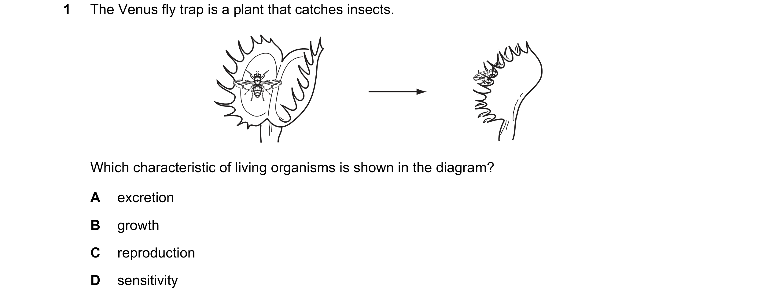 Question 11: The Venus fly trap is a plant that catches insects. Which characteristic of living organisms is shown in the diagram? A excretion B growth …
