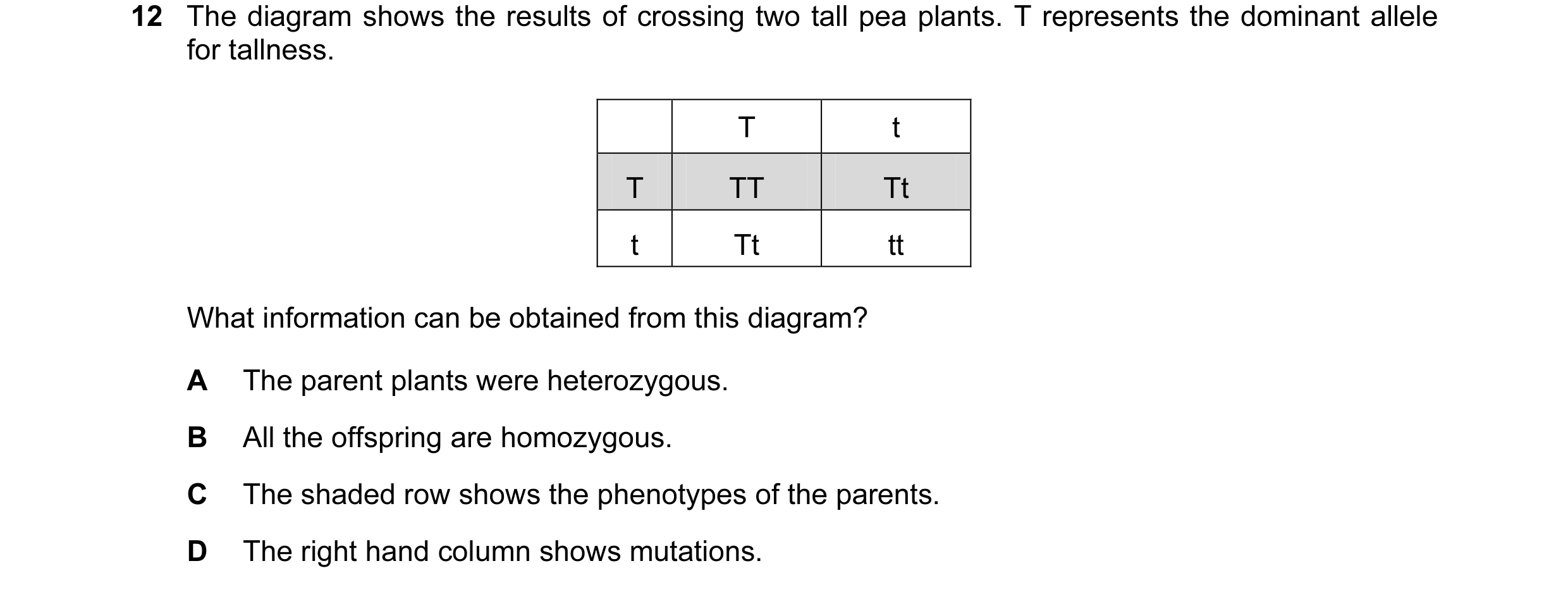 Question 3: The diagram shows the results of crossing two tall pea plants. T represents the dominant allele for tallness. T t T TT Tt t Tt tt What info…