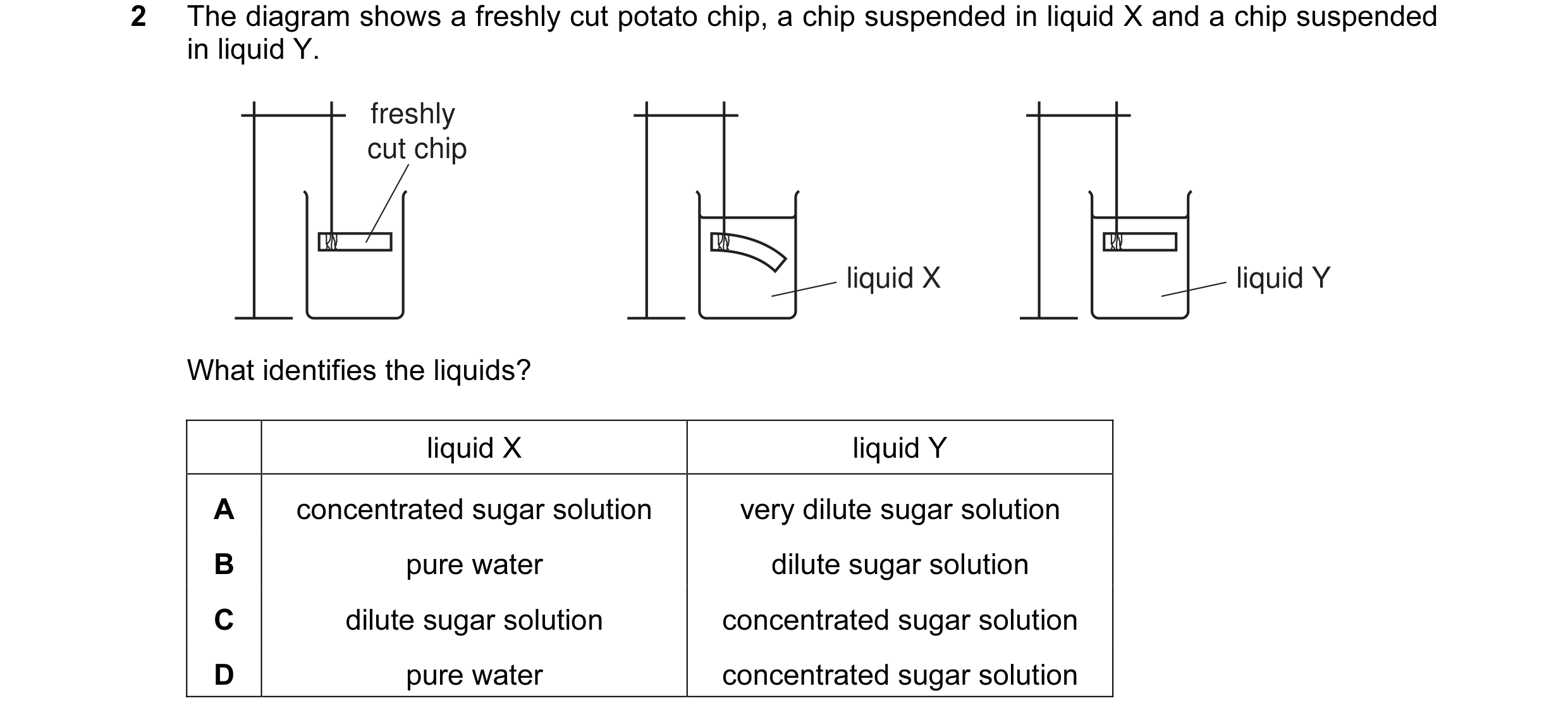 Question 3: The diagram shows a freshly cut potato chip, a chip suspended in liquid X and a chip suspended in liquid Y. freshly cut chip liquid X liqui…