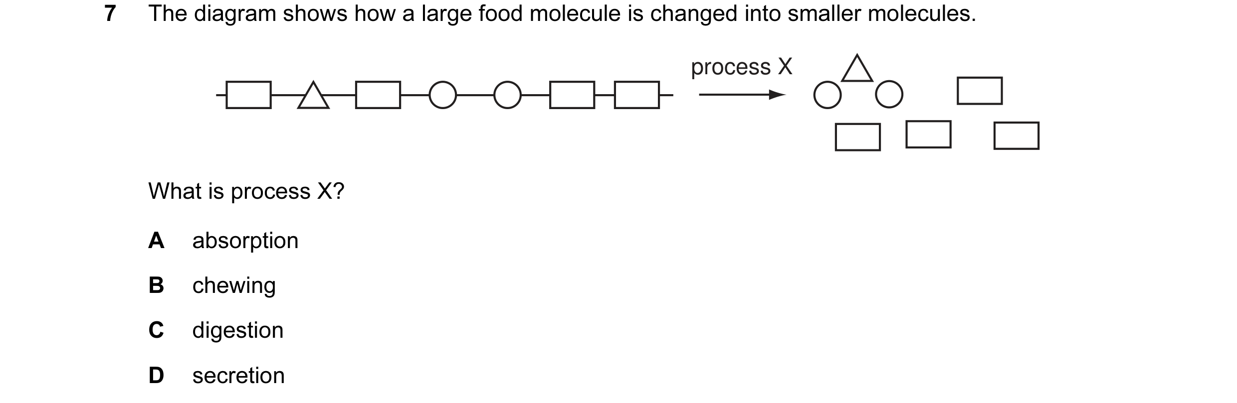 Question 2: The diagram shows how a large food molecule is changed into smaller molecules. process X What is process X? A absorption B chewing C digest…