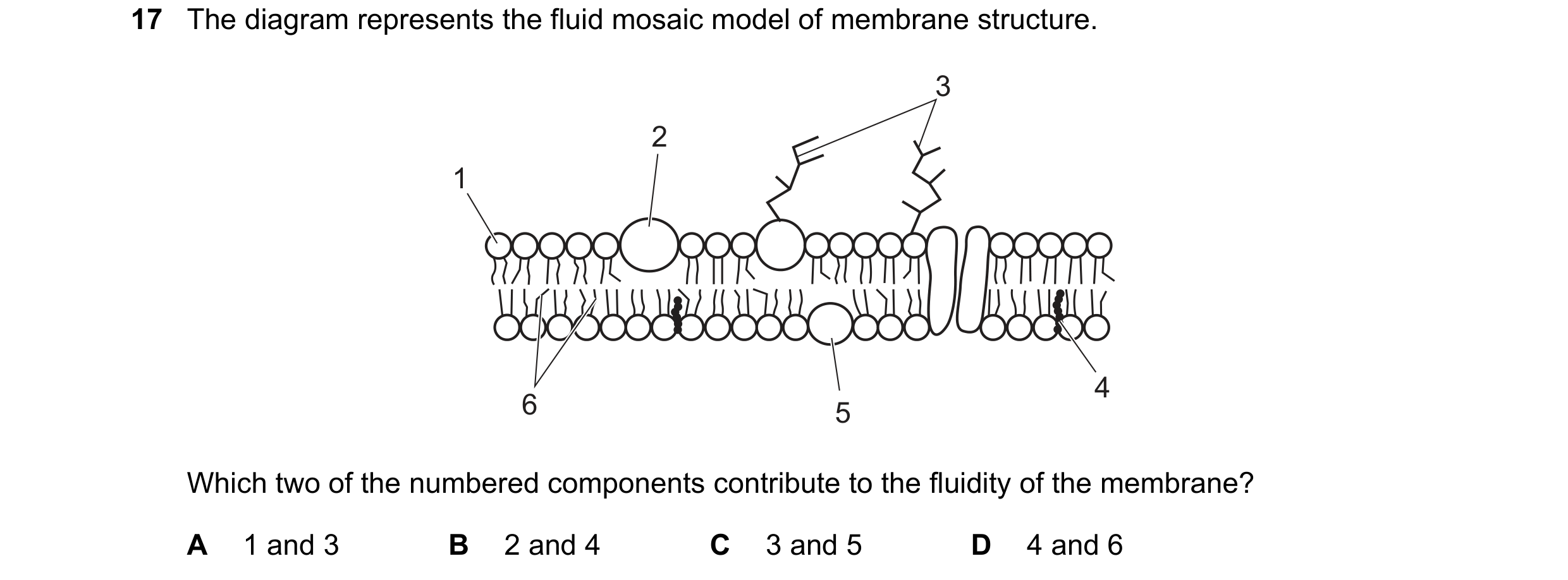 Question 94: The diagram represents the fluid mosaic model of membrane structure. 3 2 1 4 6 5 Which two of the numbered components contribute to the flu…