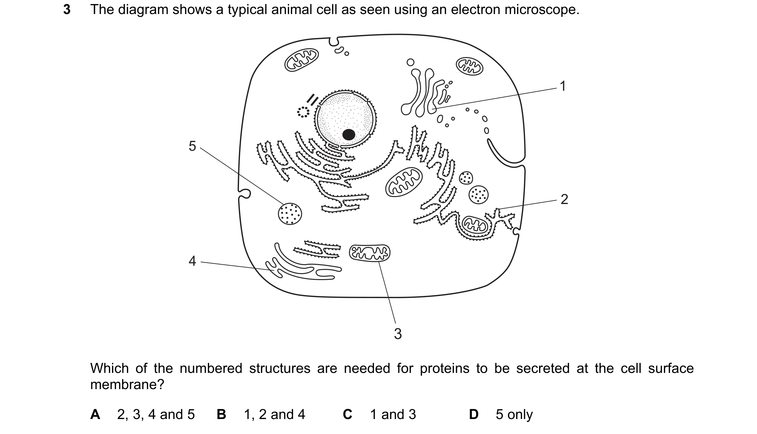 Question 217: The diagram shows a typical animal cell as seen using an electron microscope. 1 5 2 4 3 Which of the numbered structures are needed for pro…